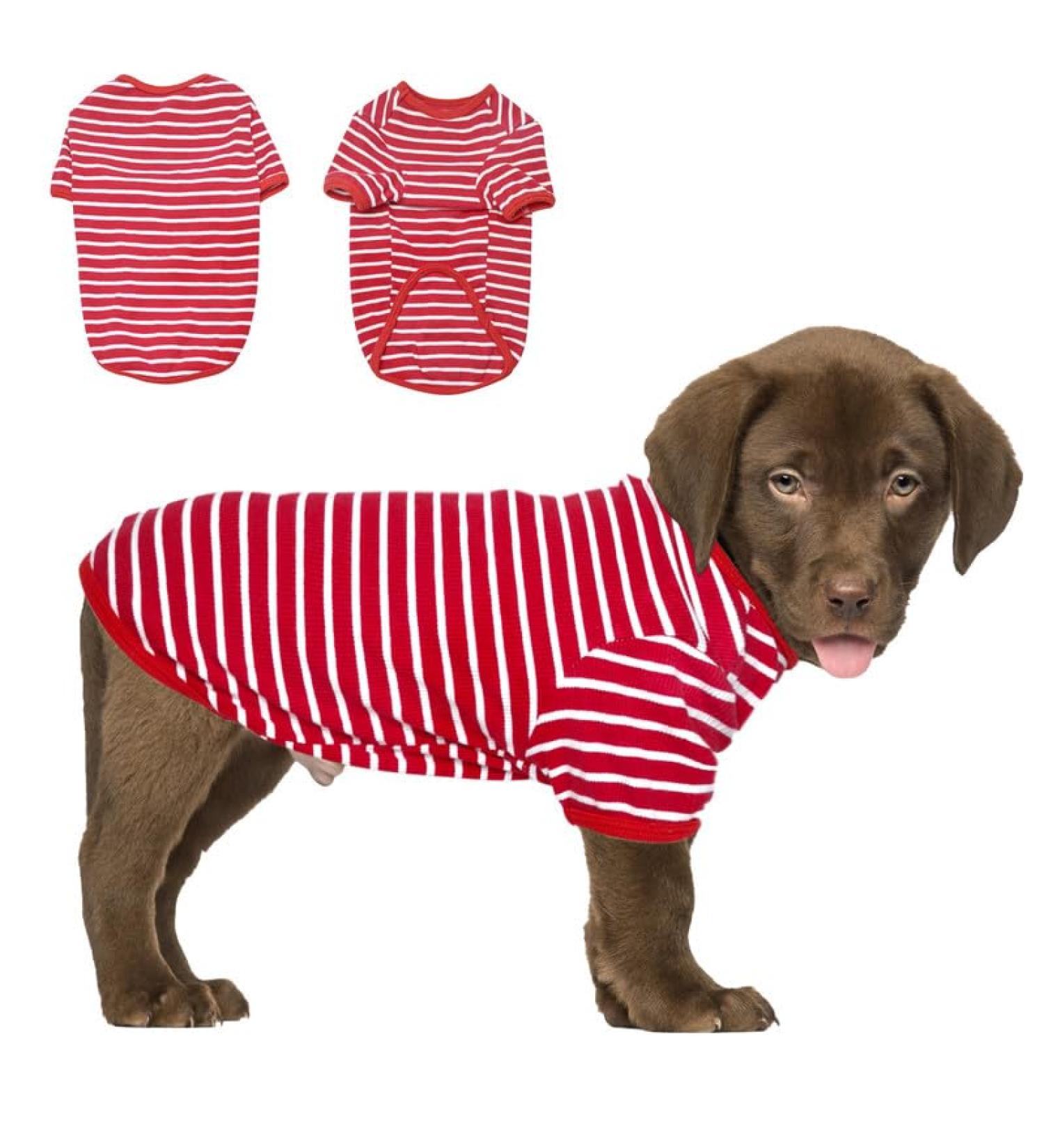 Stylish Petsmil Thin Dog Sweater for Small Dogs - Striped Stretchy Shirts for Chihuahuas & French Bulldogs (Red S) - Buy Online on GoSupps.com