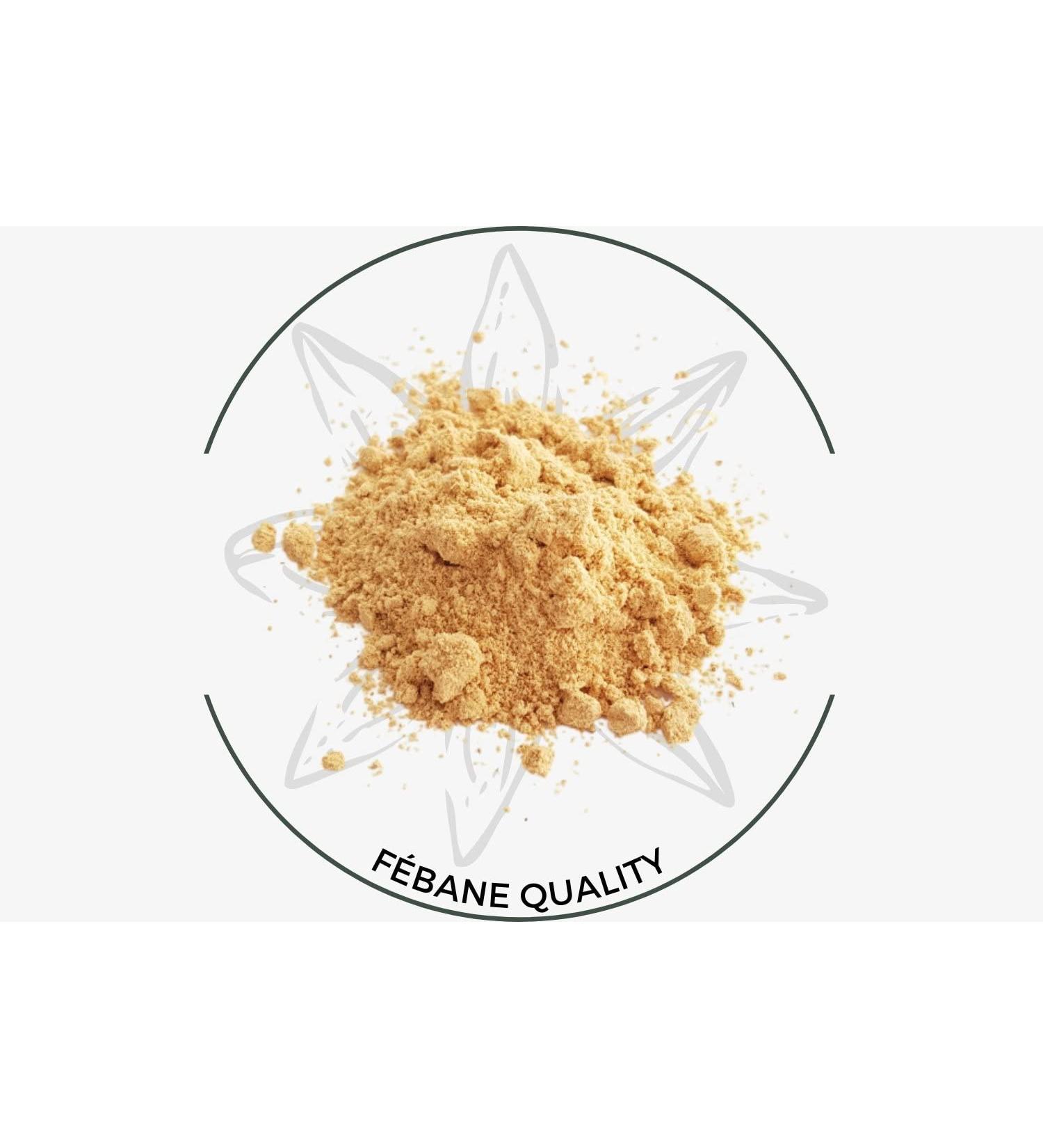  Maison Febane 100% Natural and Organic Ginger Powder from Maison F bane - Imported from Morocco - Explore Flavor with Superior Cinnamon - Buy Online on GoSupps.com
