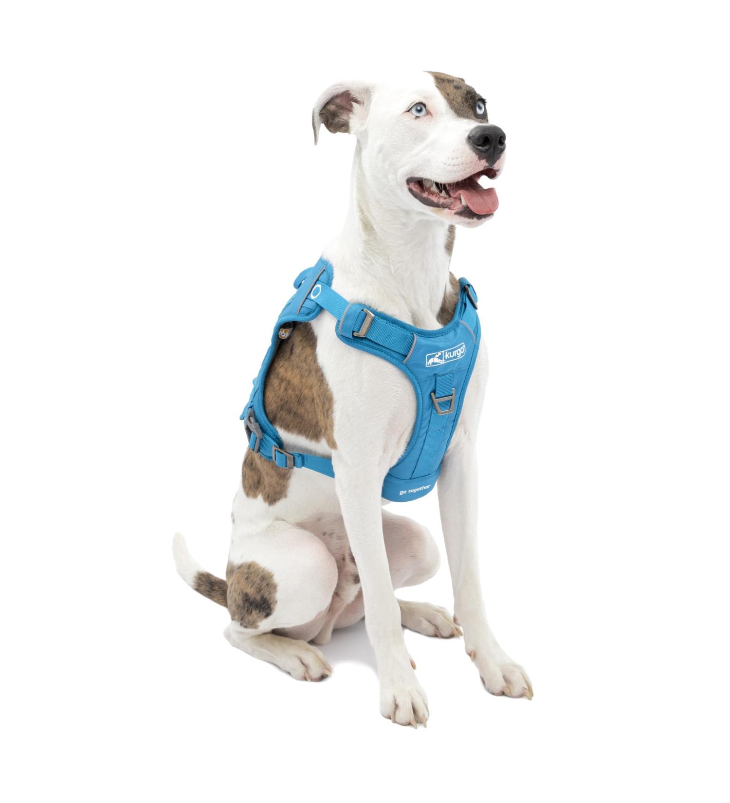 Kurgo RSG Dog County Harness Comfortable Padded Dog Hiking Harness Adjustable MOLLE Compatible Medium-Coastal Blue Medium County Harness Coastal Blue - Buy Online on GoSupps.com