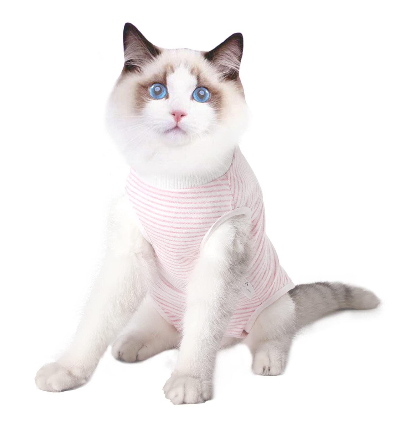 Dotoner Cat Recovery Suit - Soft Surgical Shirt for Belly Wounds Cone Alternative for Cats - Pink (S) - Medical Indoor Pet Clothing - Buy Online on GoSupps.com