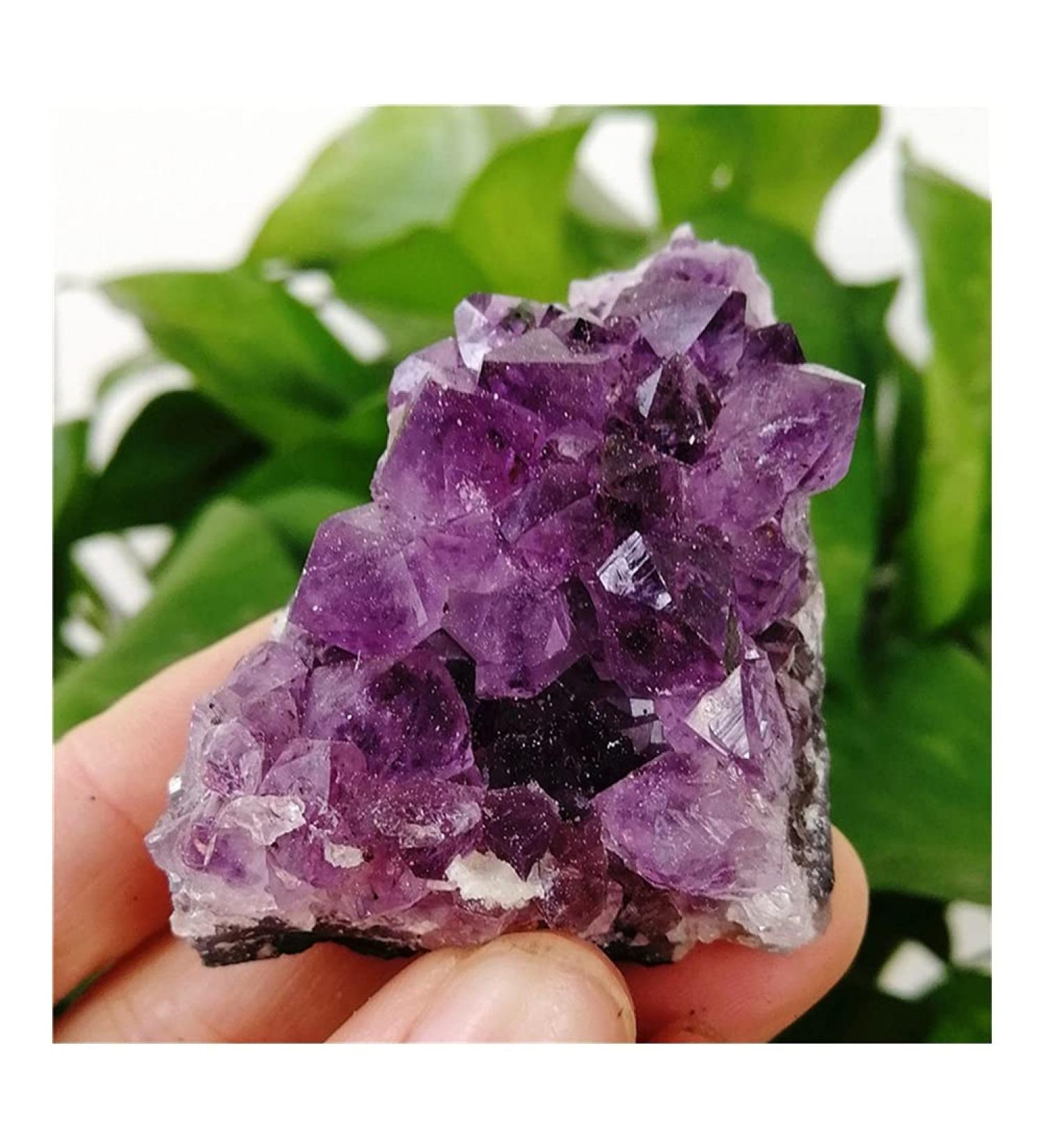 Crystal Rough 80-100g 1-6PCS Natural Uruguay Amethyst Cluster Cave Pieces of Original Stone Specimens Placed Gift (Size : 1pc) - Buy Online on GoSupps.com