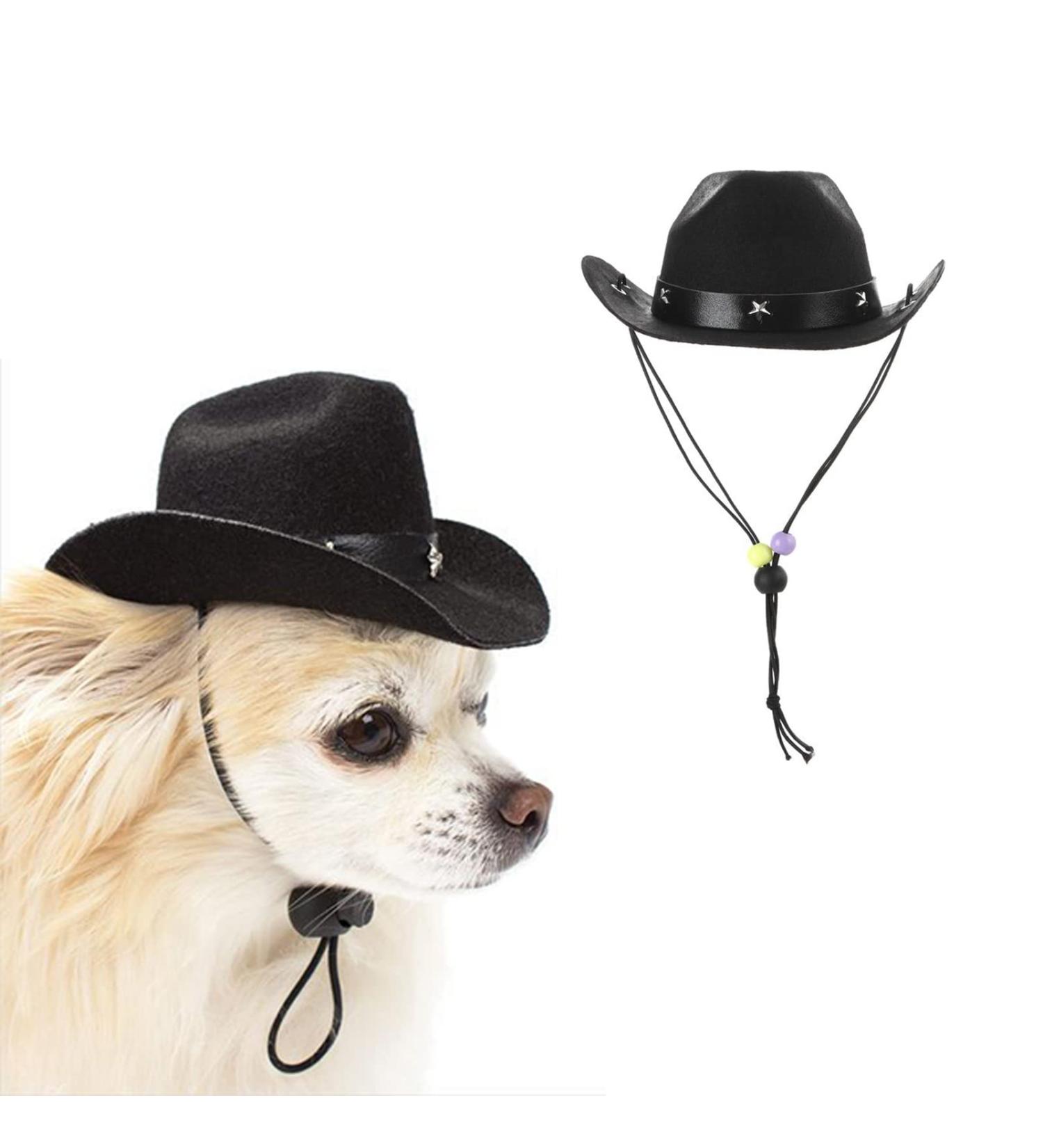 AWOCAN Cowboy Hat Pet Costume for Dogs & Cats - Black | Fun Holiday Party Decoration - Buy Online on GoSupps.com