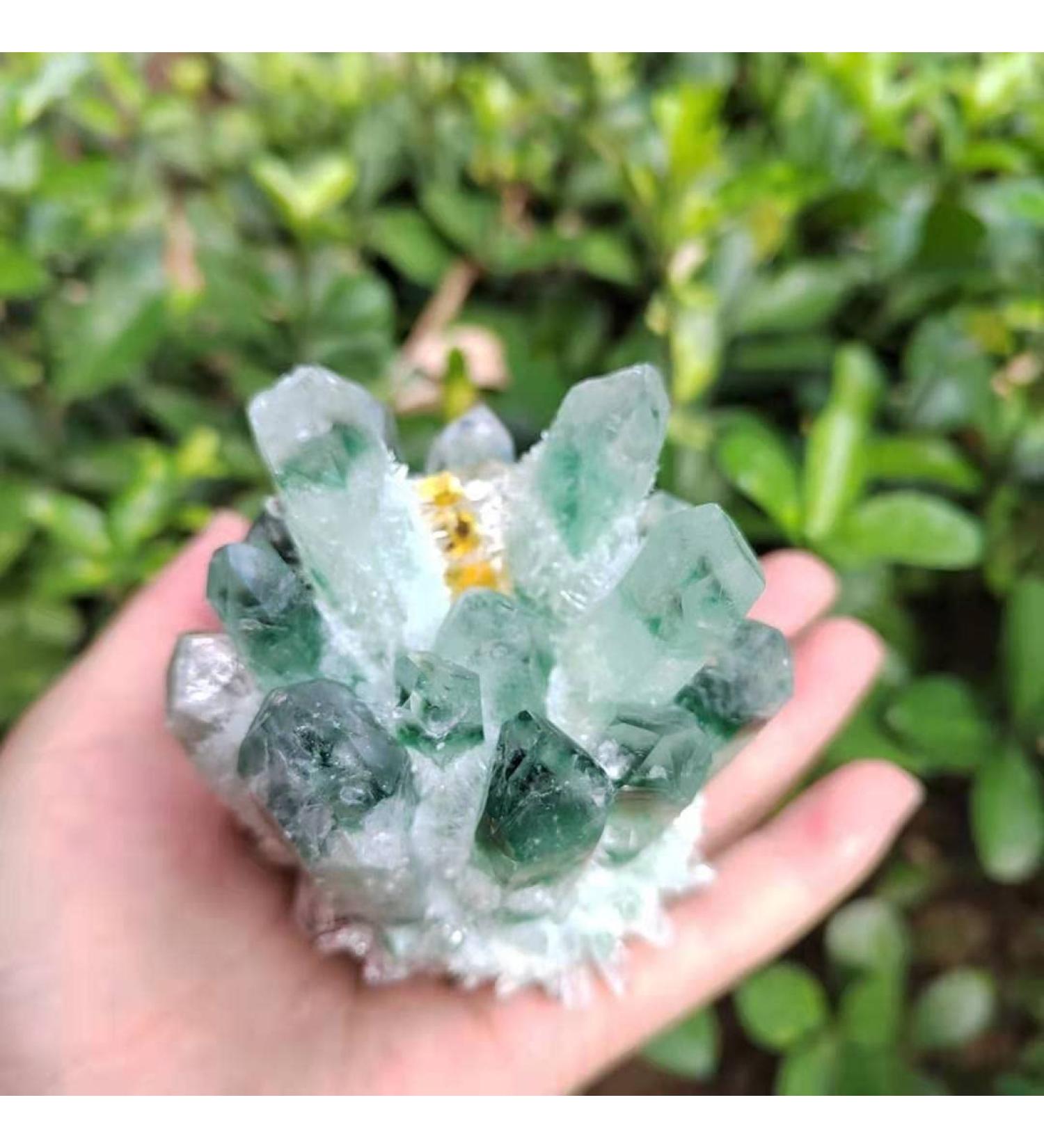 Natural Crystal Rough 1pc Natural Green Phantom Quartz Crystal Cluster Yellow Citrine Stone Ornaments 300G-900G for (Color : 1pc740g-800g Size : 1PC) 1PC 1pc740g-800g - Buy Online on GoSupps.com