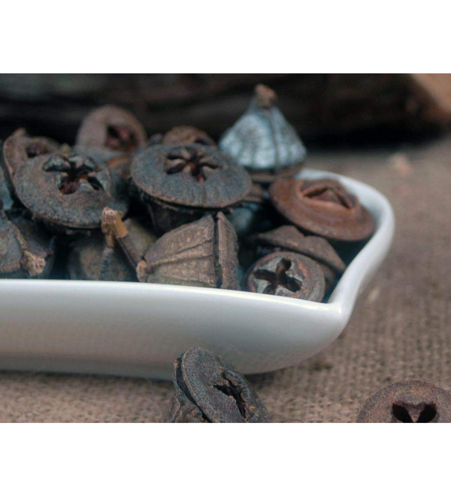 Krauterino24 Krauterino24 - Whole eucalyptus fruits quantity: 1000 g