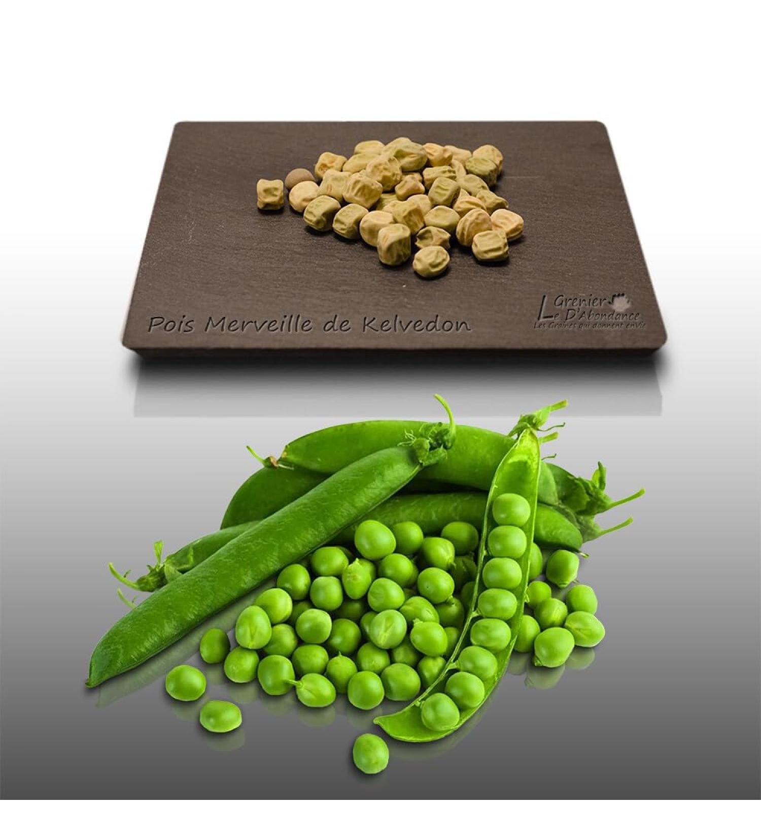75 g Seeds to sow Le Grenier dAbondance Dwarf PEA Wonder of Kelvedon Pisum Sativum - Buy Online on GoSupps.com