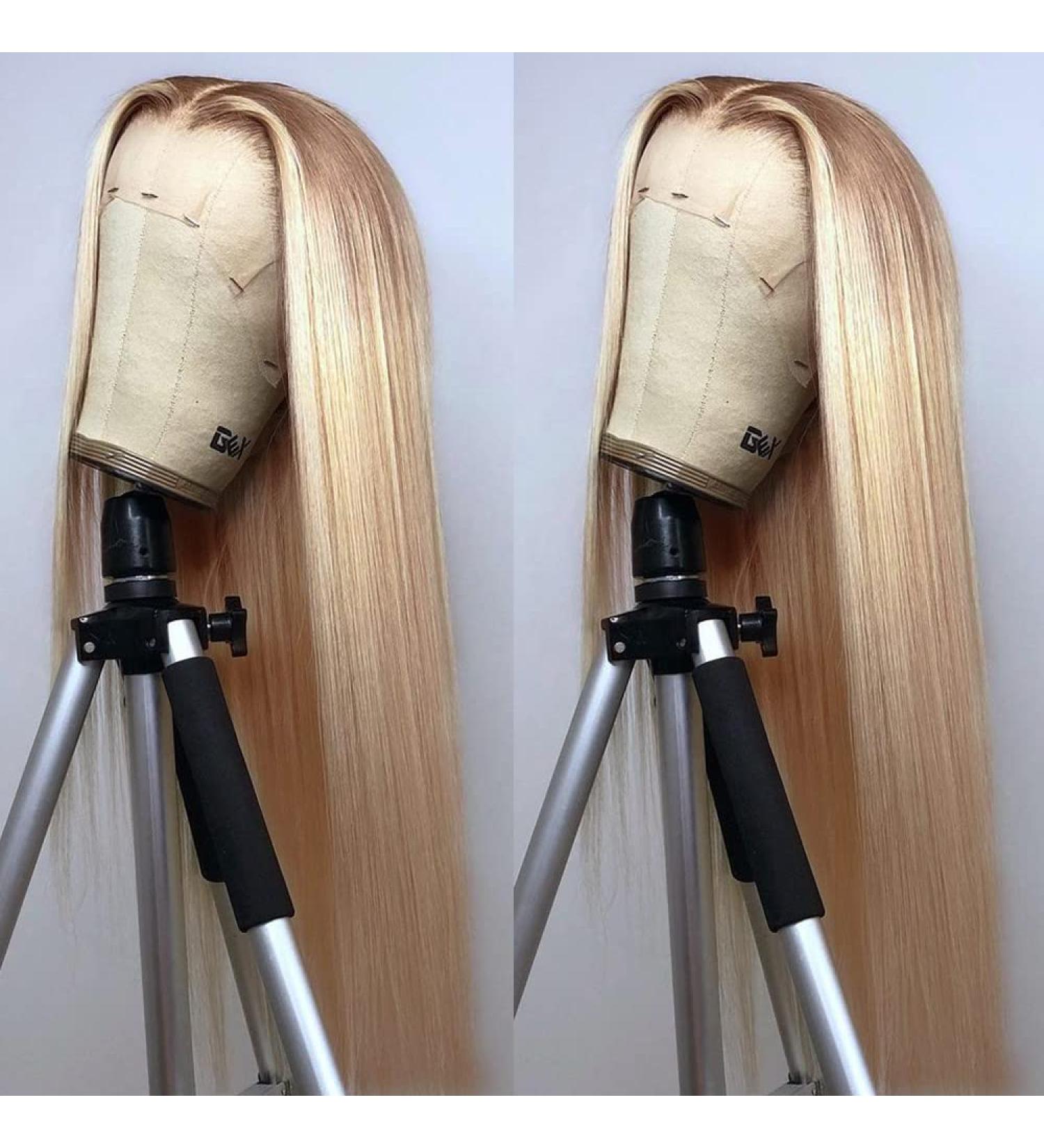 ANDRIA Blonde Lace Front Wig 24 - Heat Resistant Fiber, Natural Straight Ombre Dirty Blonde, Glueless & Colored Synthetic Wig for Women - Buy Online on GoSupps.com