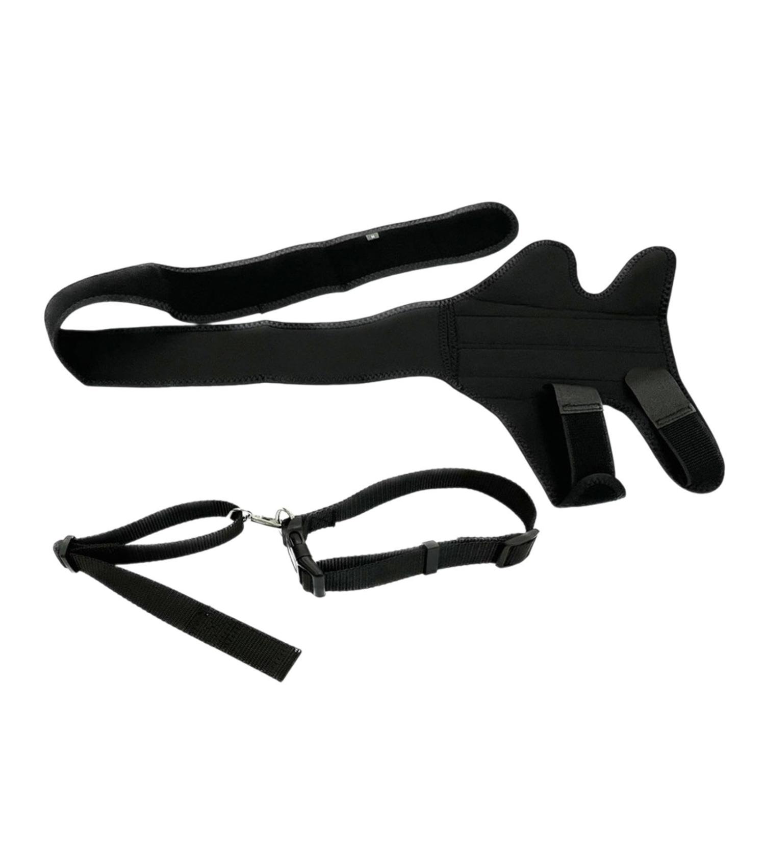 Fenteer Dog Knee Brace Adjustable Belt Pet Elbow Protective Pad for Loss of Stability from Arthritis L 29.4 to 39.1cm - Buy Online on GoSupps.com