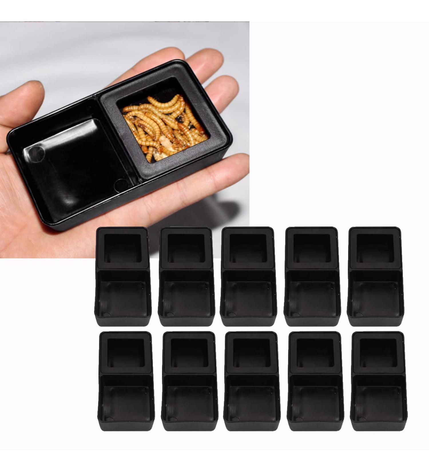 10Pcs Reptile Feeder Dish Amphibians Double Food Water Bowl Anti-esHate Worm Feeding Basin for Tortoise Gecko Snakes Lizard Spider - Buy Online on GoSupps.com