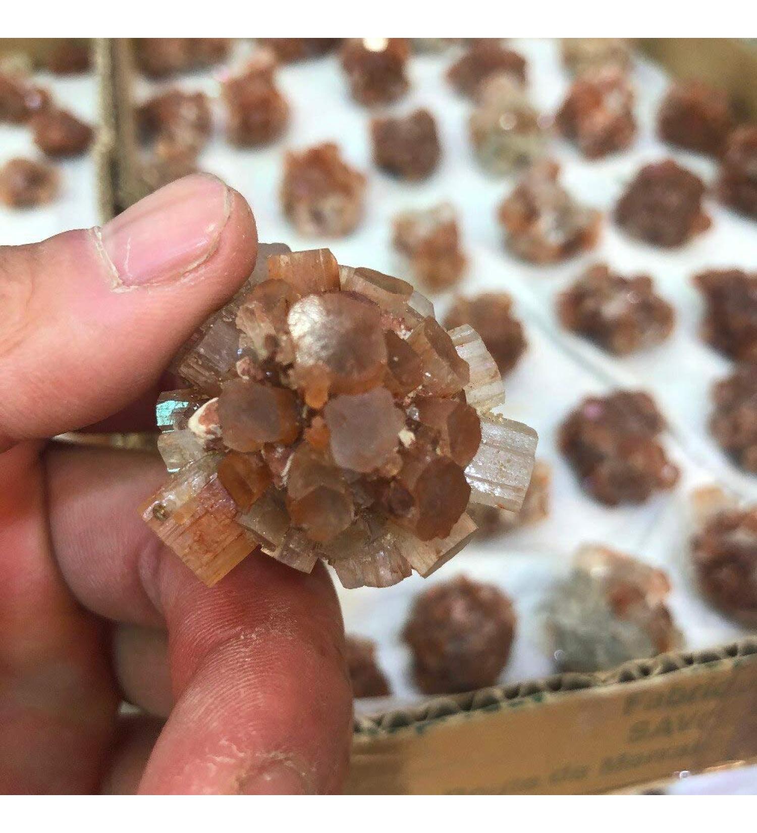 1pcs Natural Stone Minerals Aragonite Raw Quartz Point Selenite Rough Calcspar Minerals Specimen HOMEZHOU - Buy Online on GoSupps.com