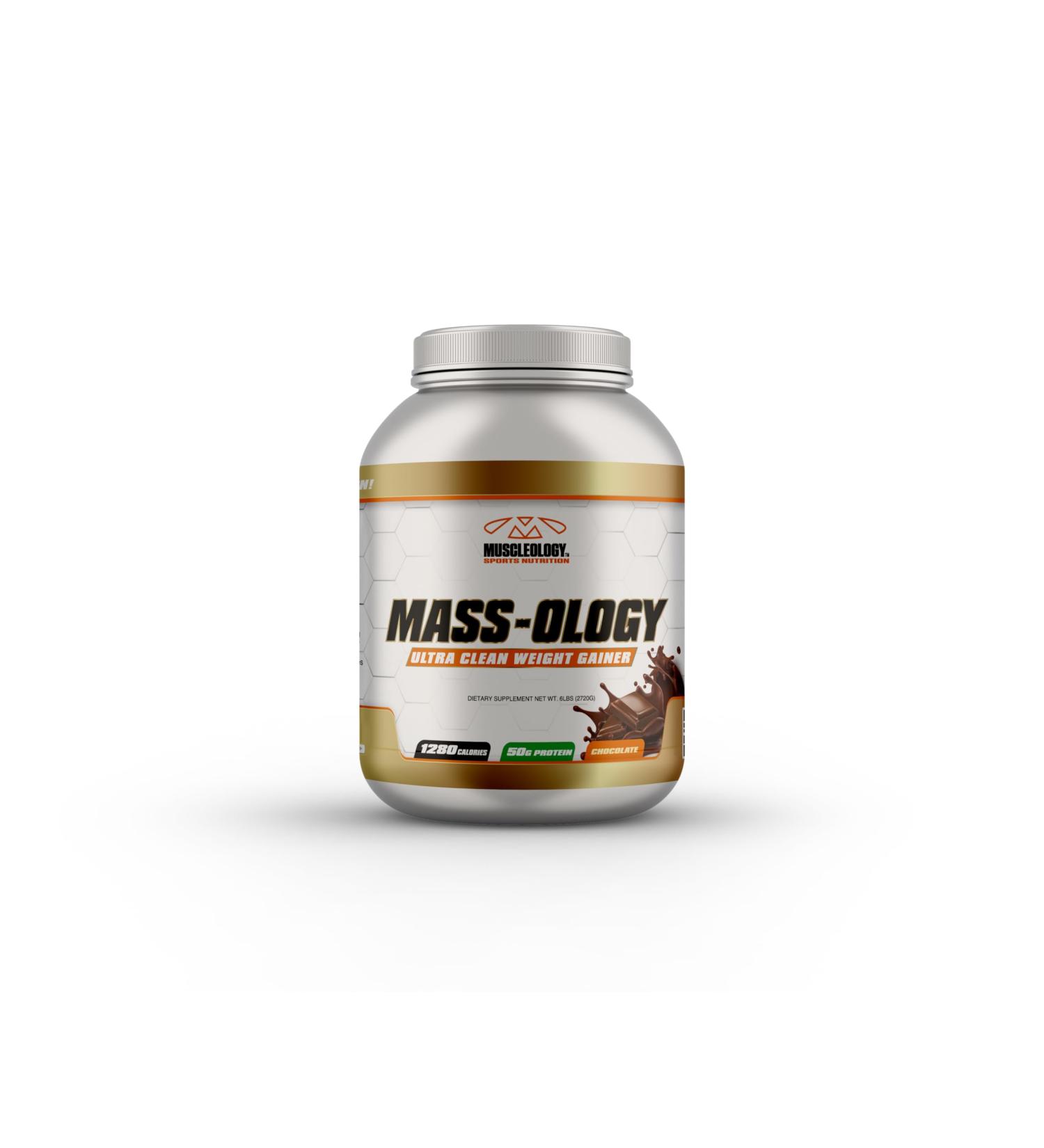 Weight Gainer Whey Protein Powder - Muscle Builder for Men & Women - Chocolate Flavor 6 lbs | International Shipping Available - Buy Online on GoSupps.com