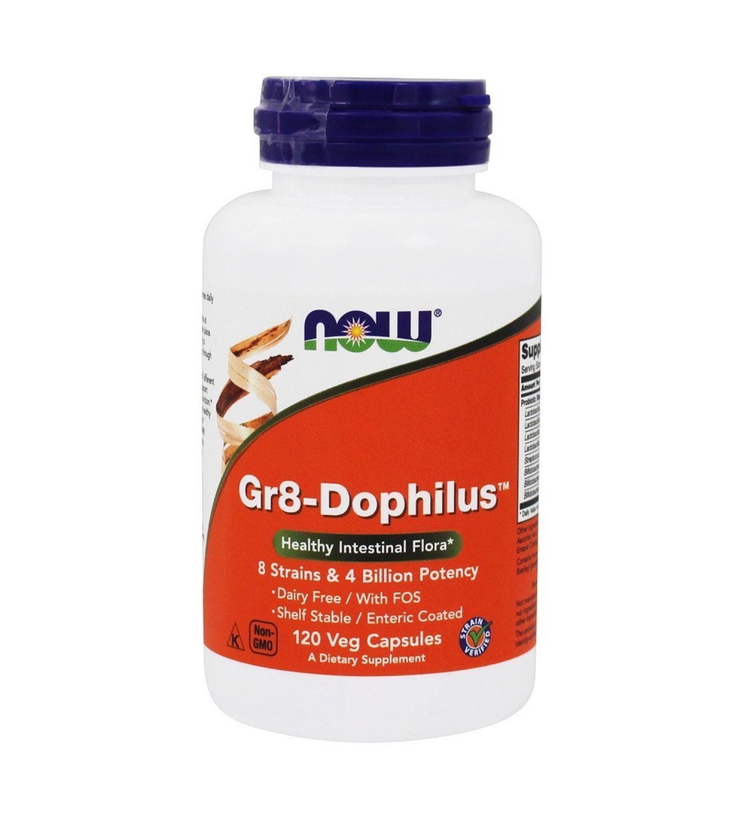 Gr 8 Dophilus - Enteric Coated 120 Vcaps by Now Foods (Pack of 4) - Buy Online on GoSupps.com