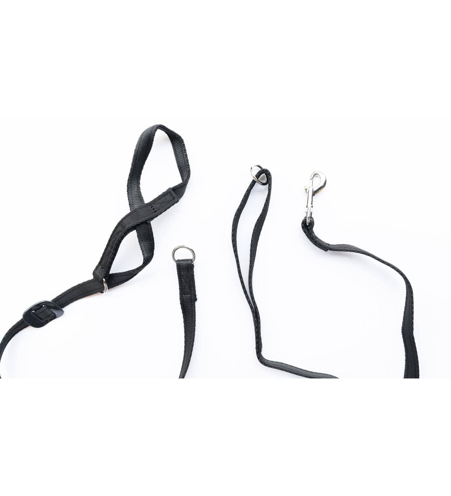 Gencon Combo - Headcollar (Right-handed Large Black) and Clip Lead Large Black - Buy Online on GoSupps.com