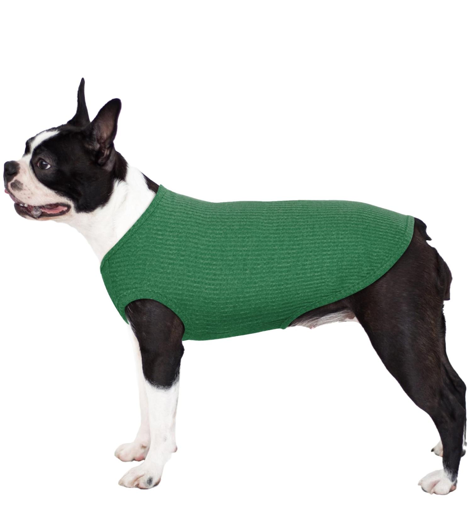 Buy Hjumarayan Washable Dog Sweater - Elastic Striped Shirt for Medium & Large Dogs (XXL Emerald Green) - International Shipping Available - Buy Online on GoSupps.com