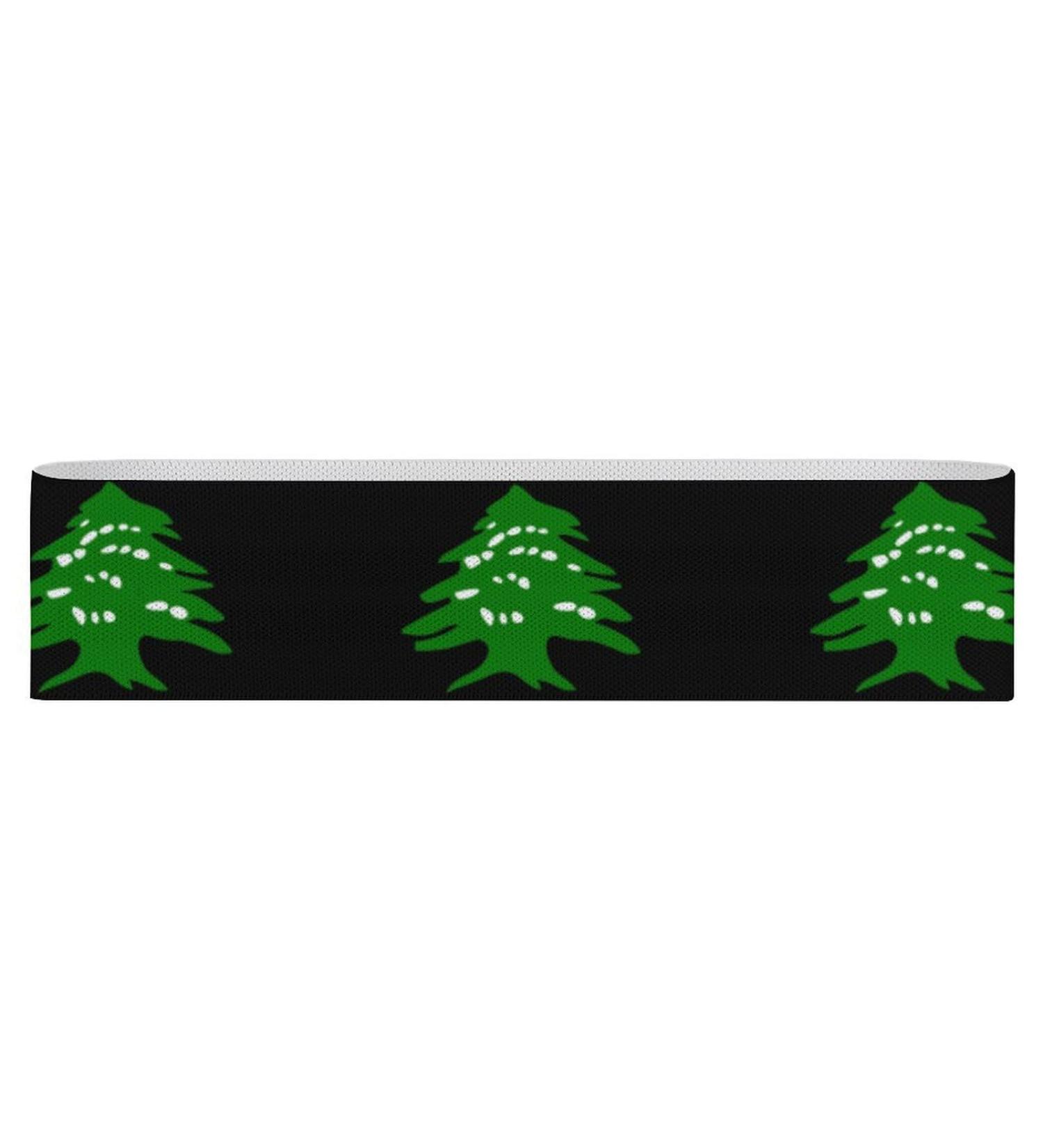 Shop Lebanese Flag Logo Yoga Workout Bands | Comfort Booty Resistance Straps & Physical Therapy Aids - Buy Online on GoSupps.com
