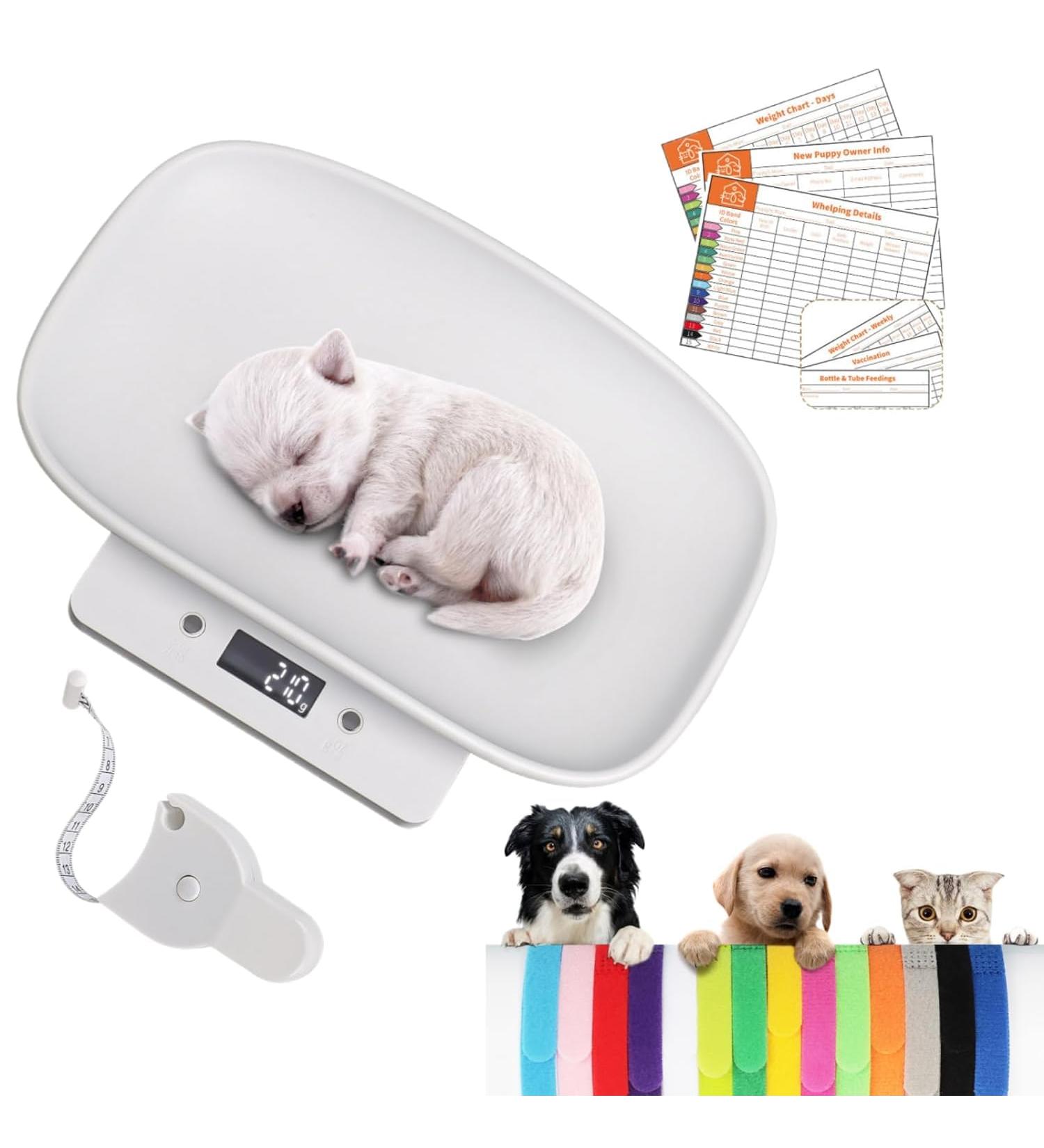 LYTDMSKY Digital Pet Scale Newborn Puppy Whelping Supplies Accurate Small Animal Scale for Puppies/Kitten/Dog/Cat/Hedgehog Multi-Function LCD Scale with Tape Mesure/Collars/Record Charts Max 33lb - Buy Online on GoSupps.com