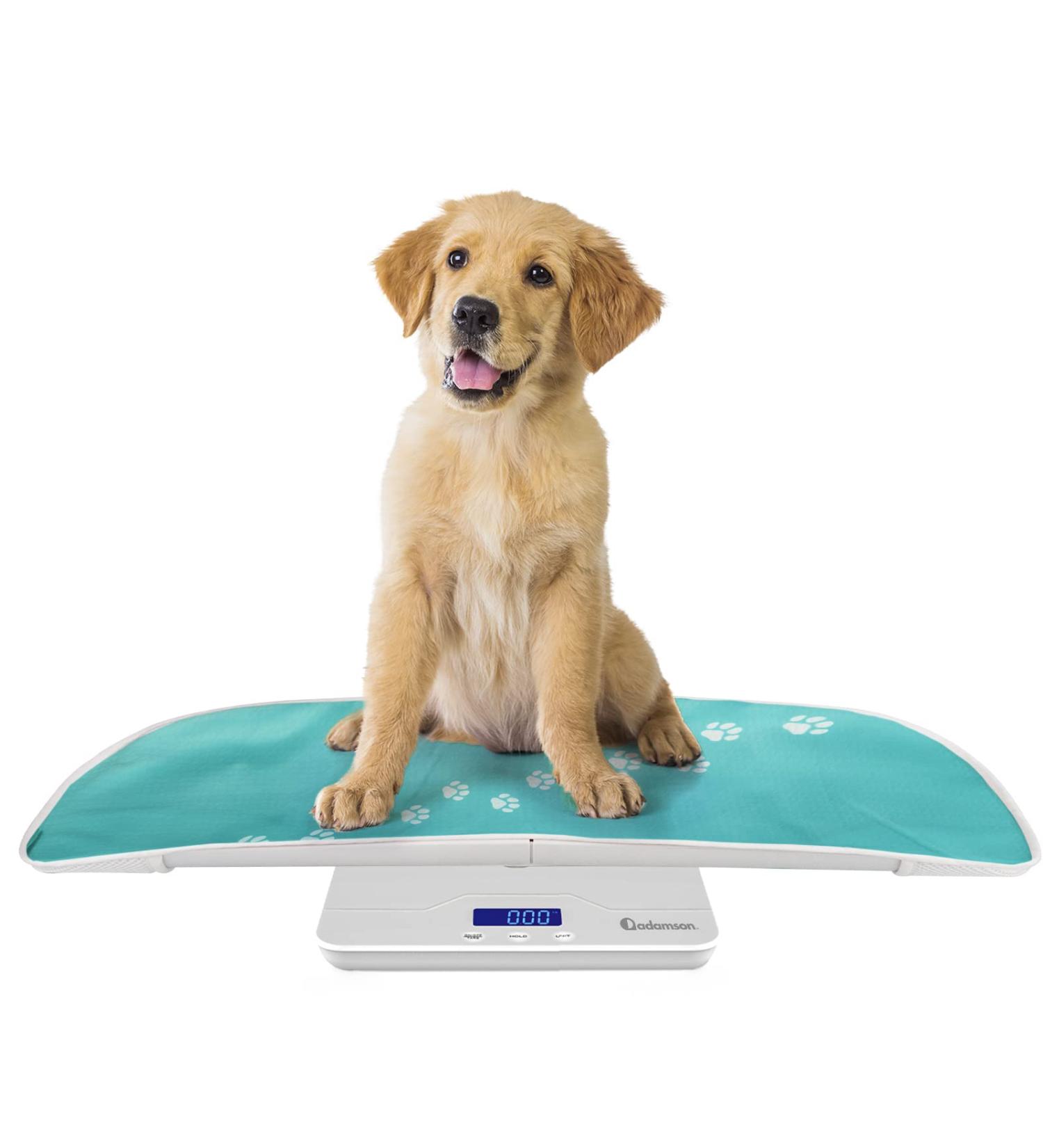 Adamson A50 Pet and Baby Scale 2023 - Digital Scale for Cats Dogs Rabbits - Up to 220 lb / 100 kg - Buy Online on GoSupps.com