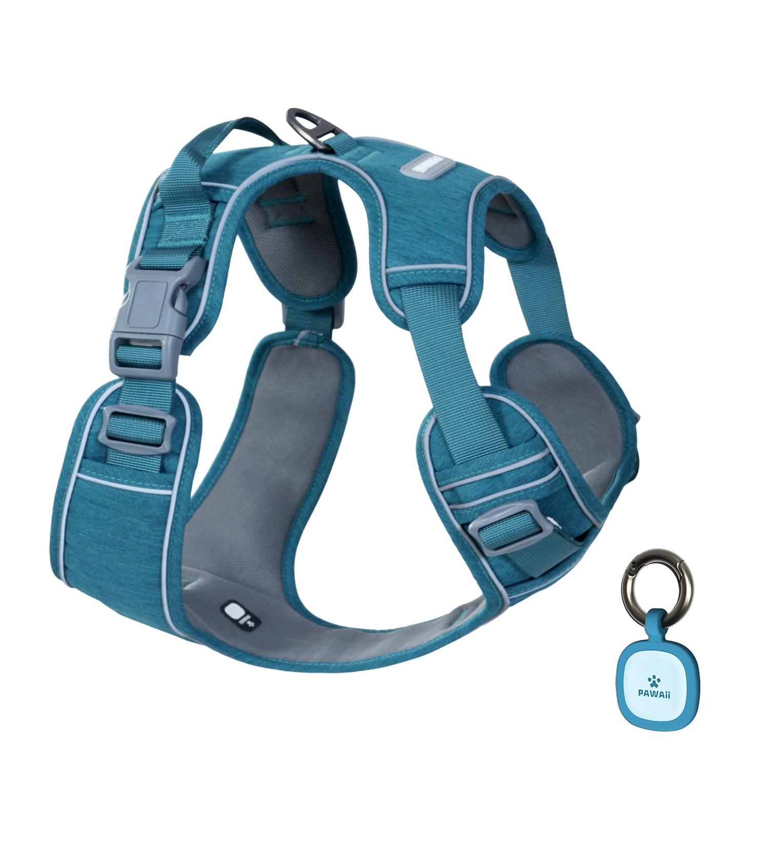Pawaii XS Dog Harness for Small Dogs - Breathable No-Pull Chest Harness with Handle - Teal Green - Ideal for Anti-Drawing & Comfortable Fit - Buy Online on GoSupps.com