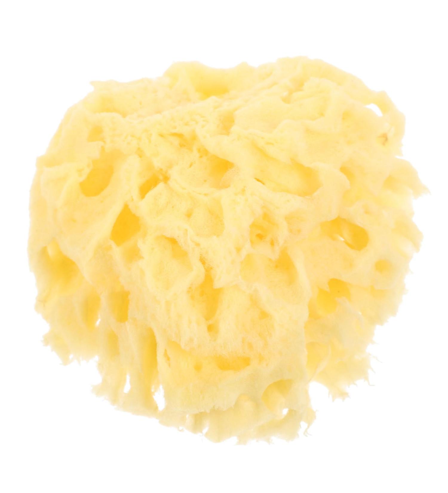 FOMIYES Moisturizer Natural Bath Sponge Body for Shower Natural for Bathing Shower for Women Sponge for Shower Bath Sponge Bath Sponge Shower - Buy Online on GoSupps.com