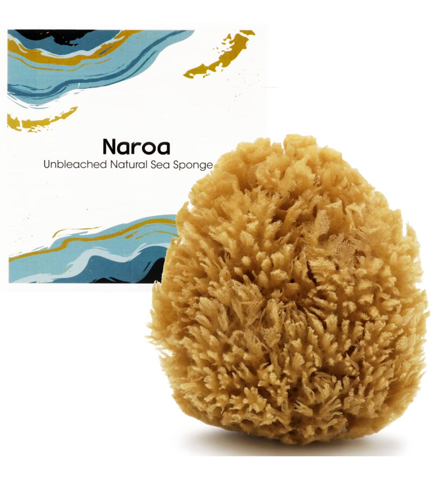 Naroa Natural Sea Sponge for Exfoliating Bath | Unbleached Body Scrubber Puff | Eco-Friendly Reneweable Sponge for Men & Women | Medium Size - Buy Online on GoSupps.com