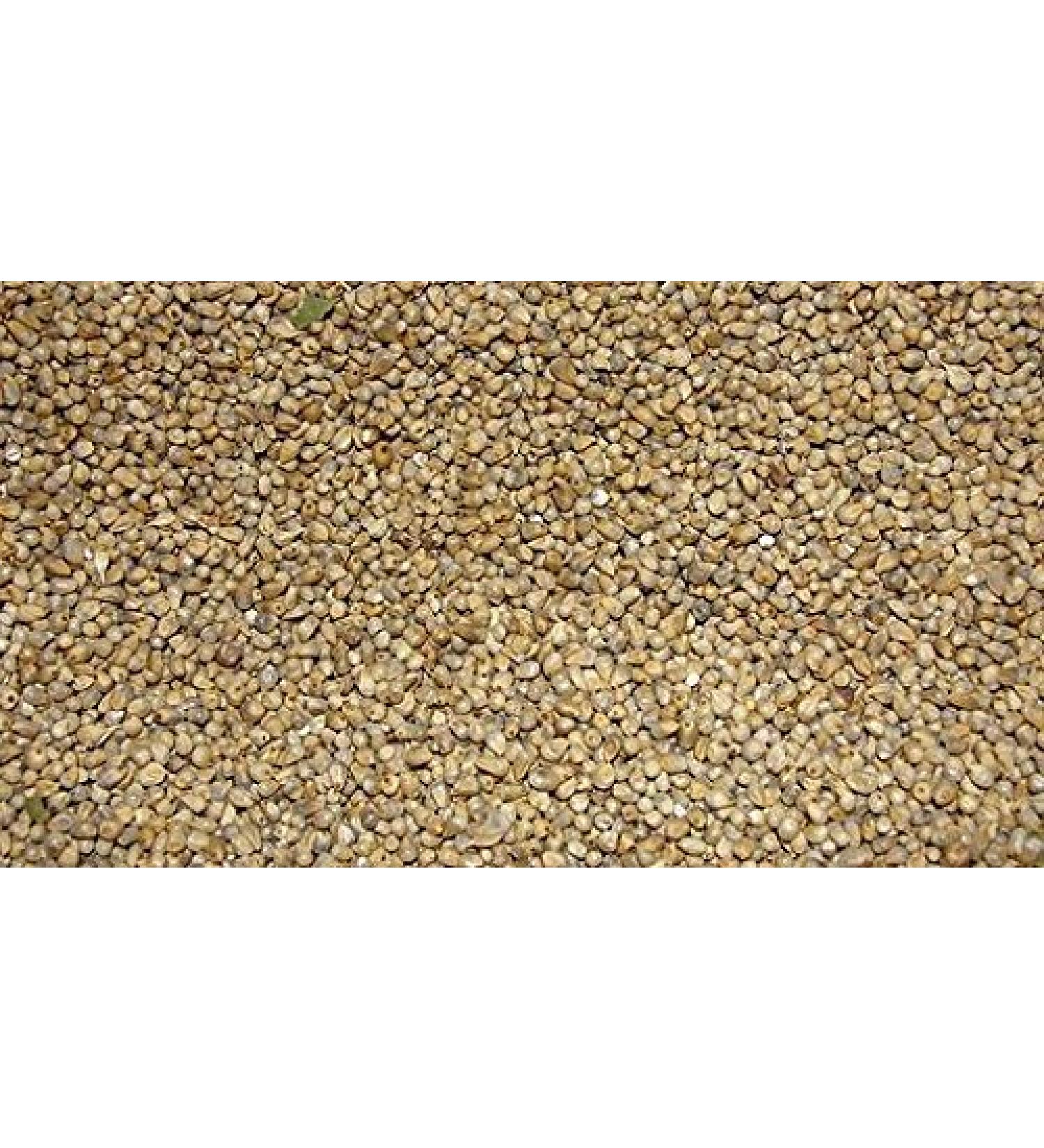 Jalpur - Whole Millet Seeds (Bajri Whole) - 100g