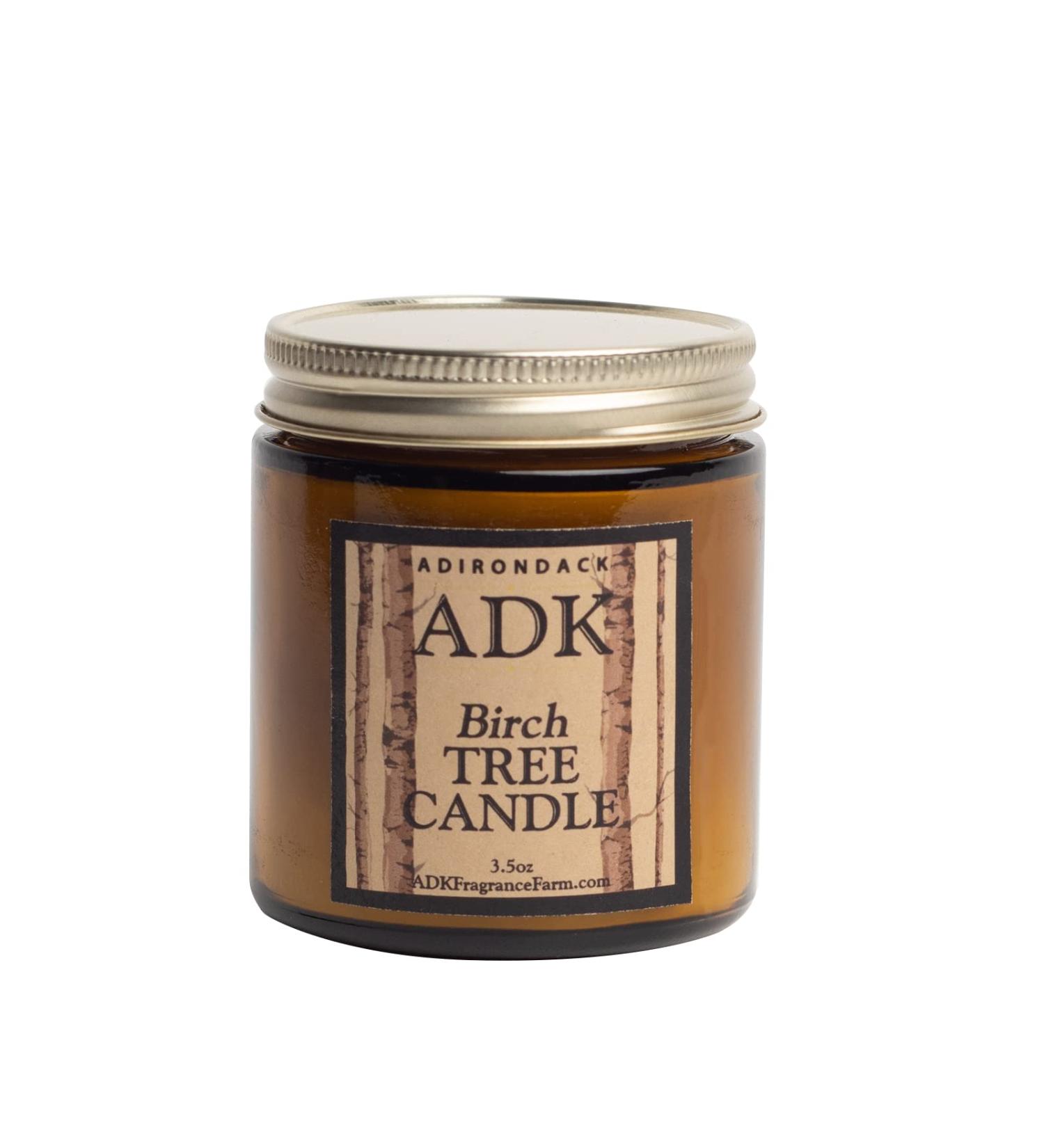 Buy Birch Scented Candle - Plant Based Aromatherapy for Home Decor | 17 hrs Burn Time | Natural Gift for Mother's Day - Buy Online on GoSupps.com