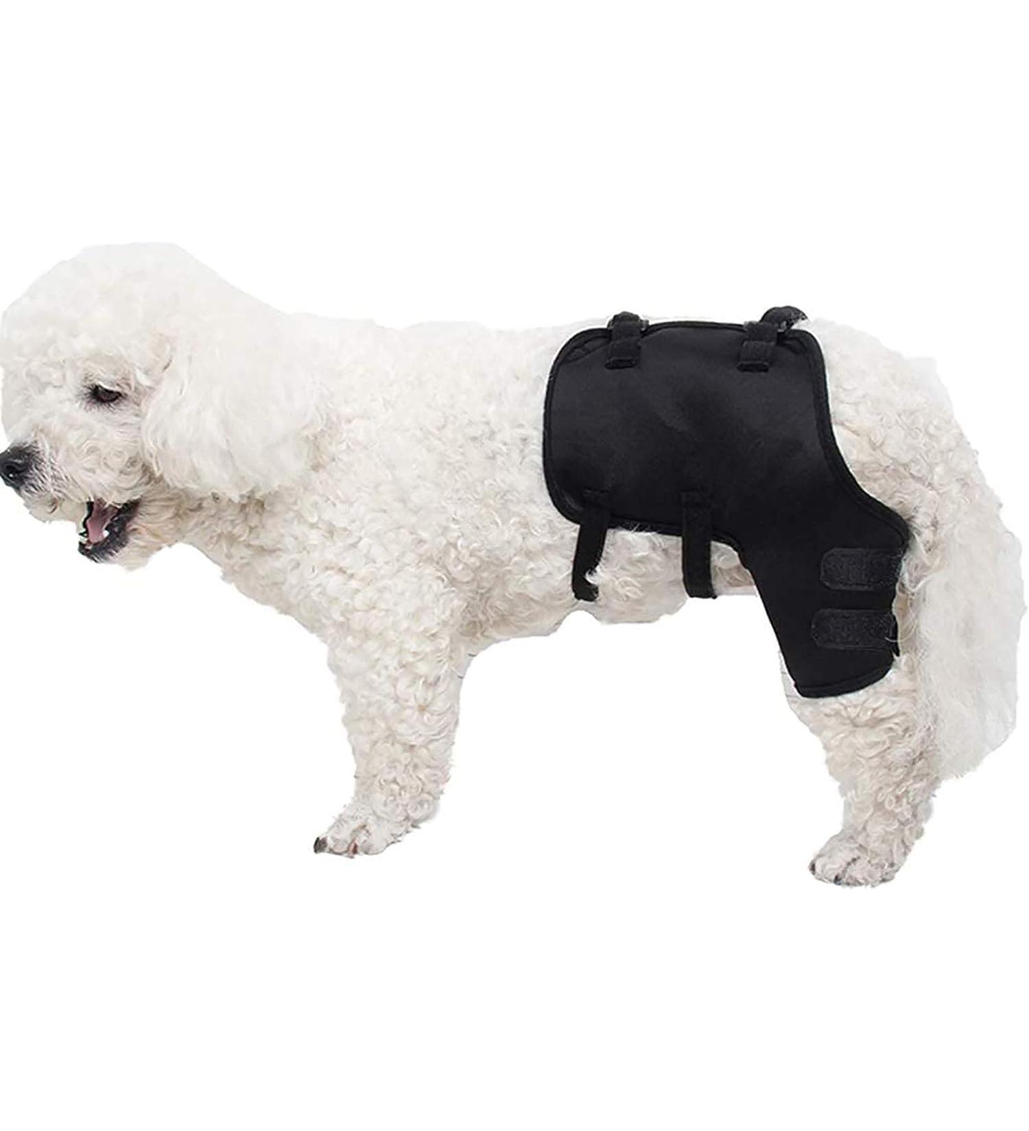 VEraiz Black Dog Knee Support Pet Knee Injury Postoperative Recovery Aids Pet Brace Heals and Prevent Injuries for Loss of Stability from Arthritis (Back Left S) Back Left S - Buy Online on GoSupps.com