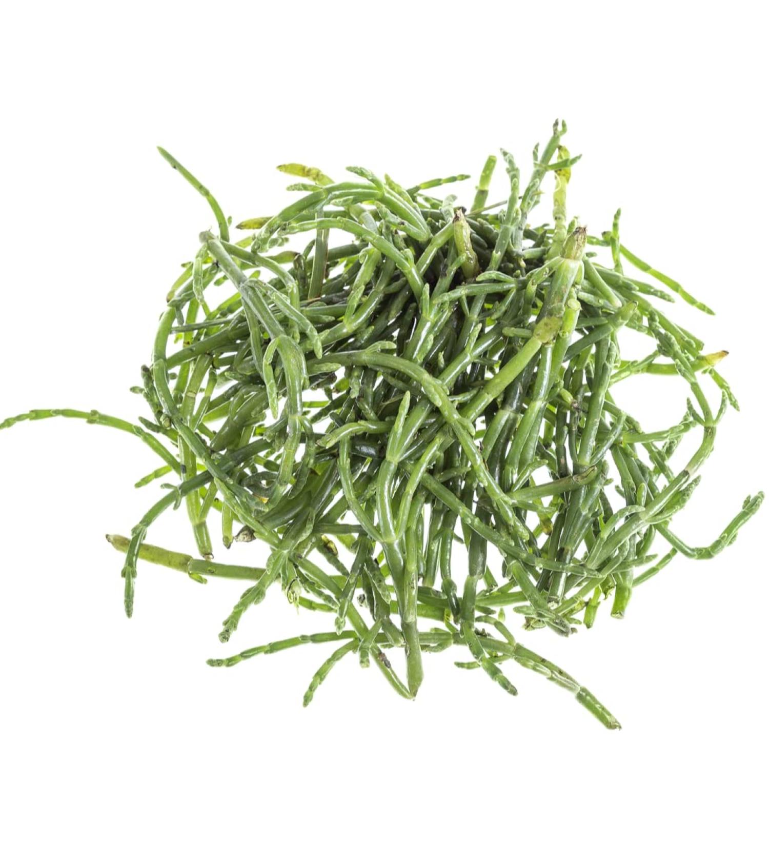 Sea Beans 1 kg -/+10%