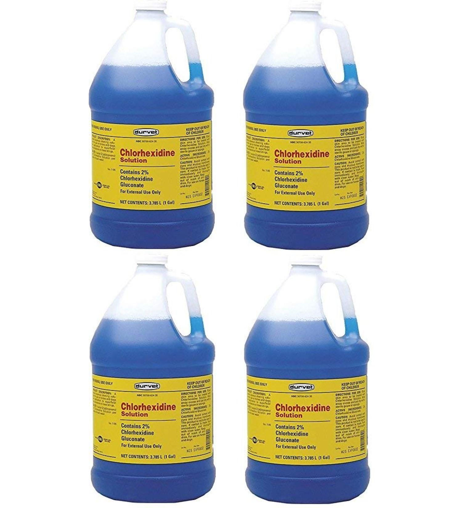 Chlorhexidine 2% for Horses & Dogs One Gallon