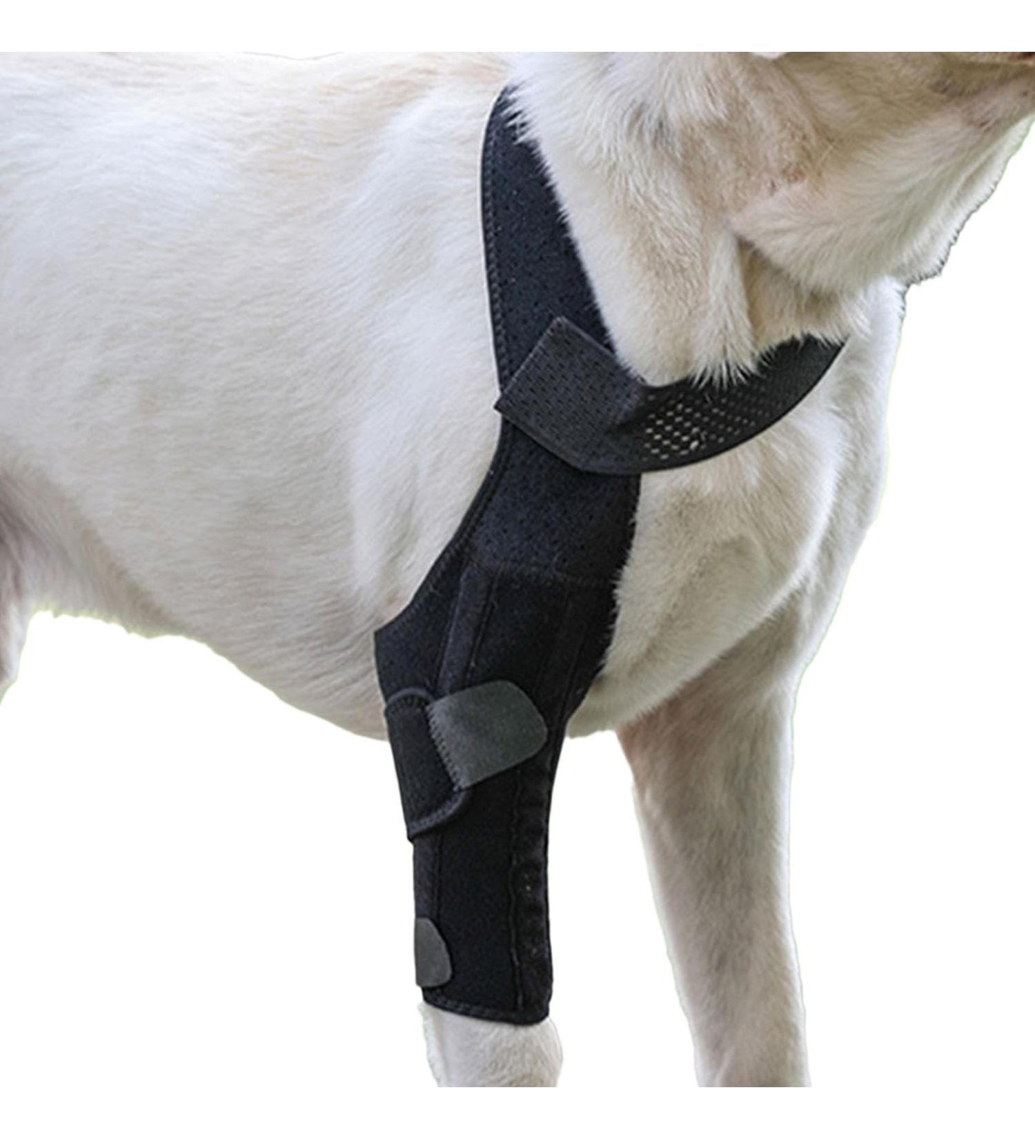 Dog Leg Support Brace - Hip Support for Dogs Back Leg Hip Support with Metal Strip High Elasticity Breathable Leg Protector for Recovery Period Jiahua Black X-Small - Buy Online on GoSupps.com