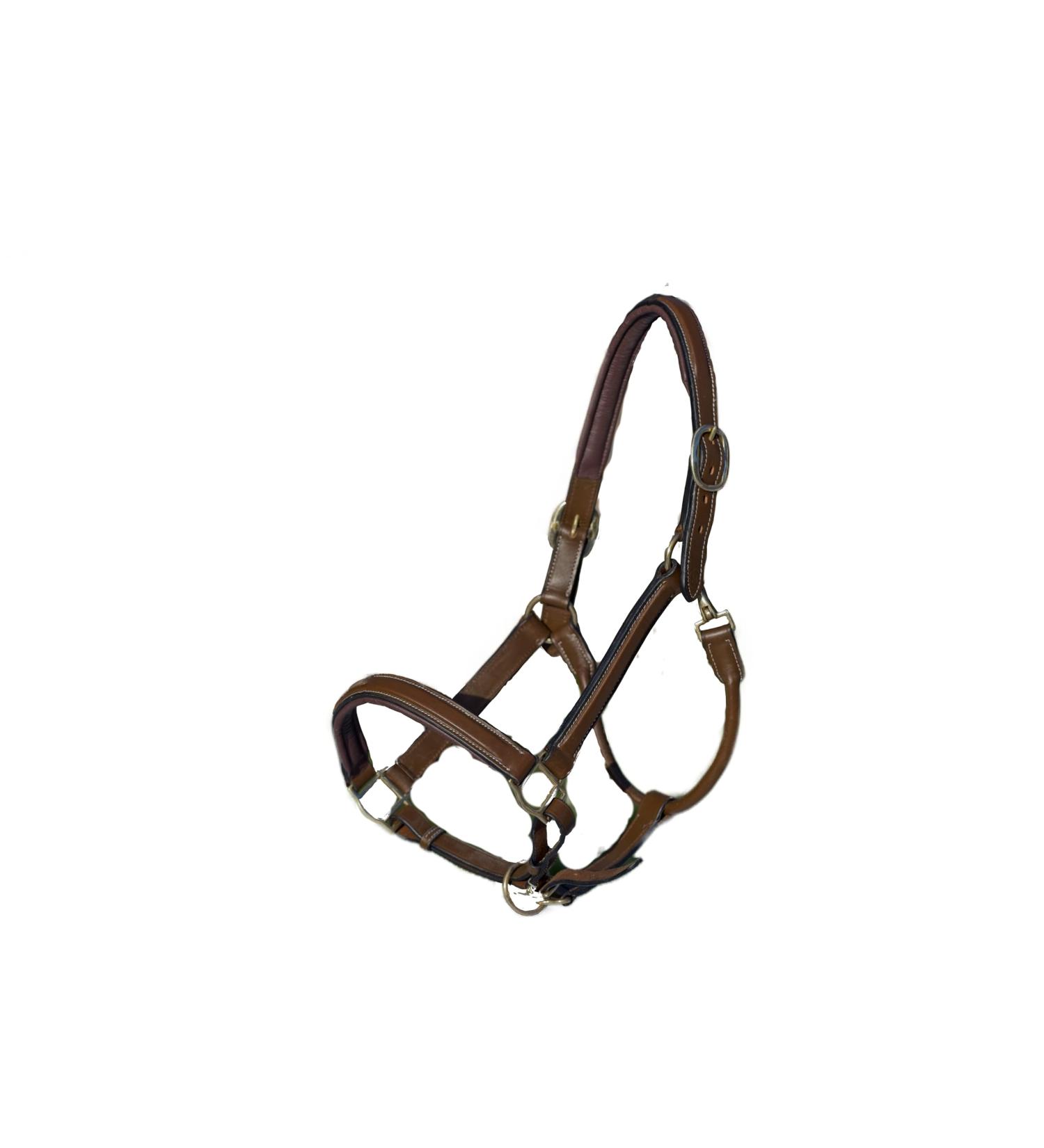 MiraQuine Leather Halter (WB/Full Light Brown) WB/ Full Light Brown