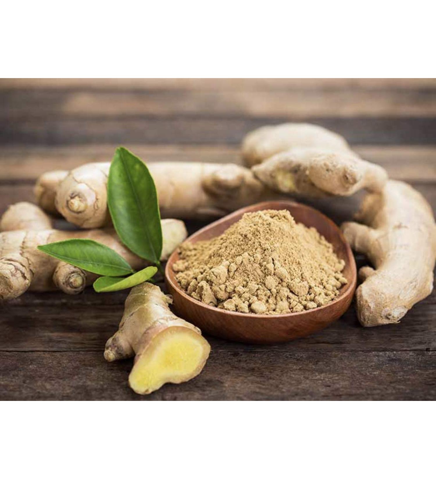Gourmet TRS Ginger Powder 100g - Premium Quality Spice for Cooking - Buy Online on GoSupps.com