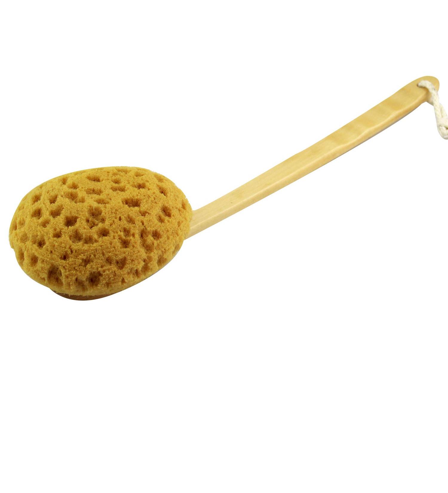 Long Handle Shower Body Brush with Sea Sponge - Gentle Exfoliating Bath Scrubber - Buy Online on GoSupps.com