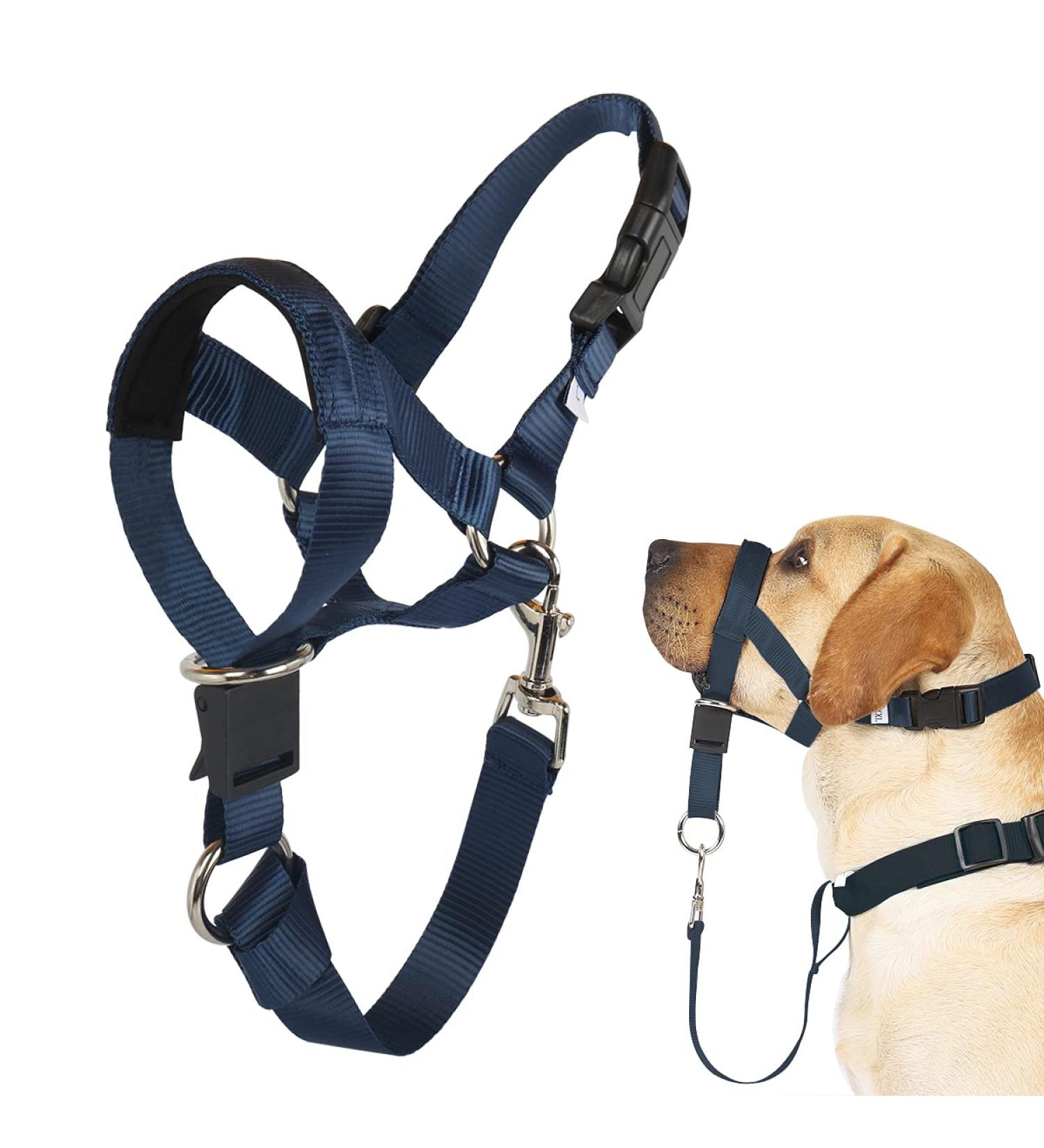 No-Pull Dog Training Halter - XL Soft Handle Leash with Expert Instructions | Marineblau - Buy Online on GoSupps.com