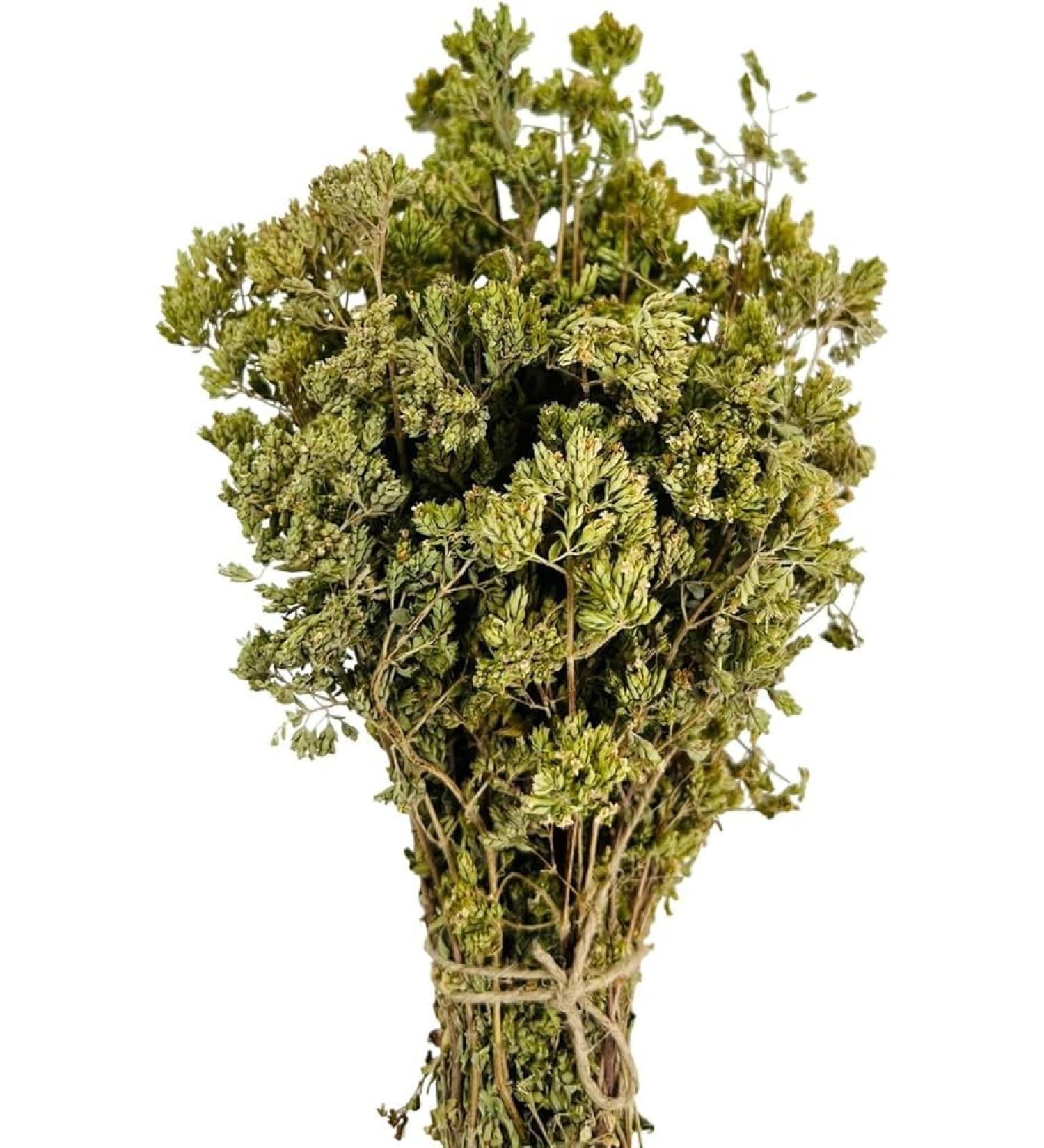 Oregano bunch organic wild sun dried from the Greek mountains 50g whole oregano bunch dark green with leaves and stems - Buy Online on GoSupps.com