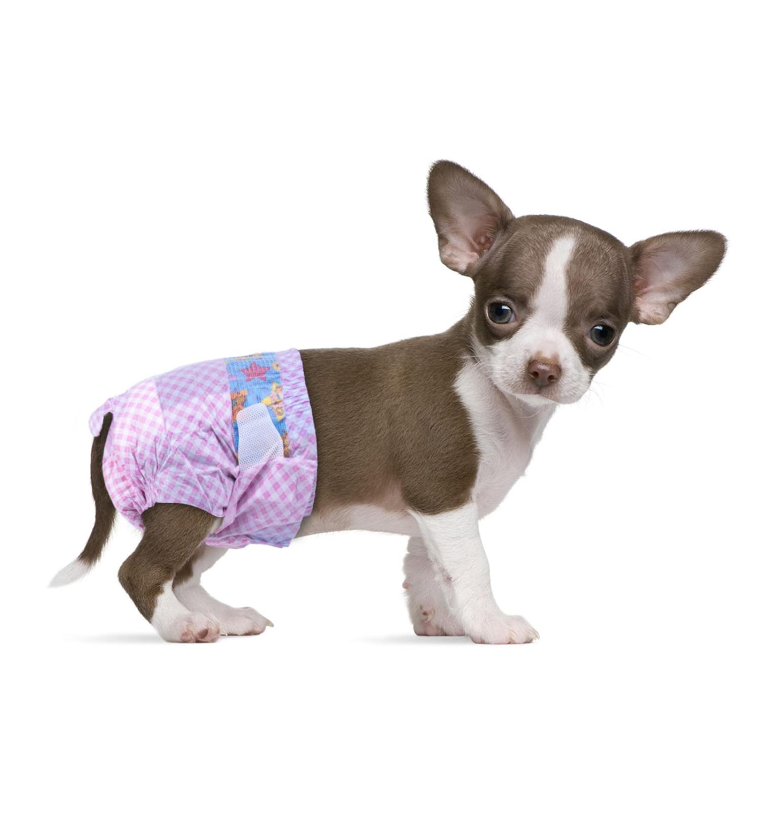 Flying Paws Disposable Diapers for Dogs & Cats - Adjustable Eco-Friendly (XXS-20pcs) | Shop Now! - Buy Online on GoSupps.com