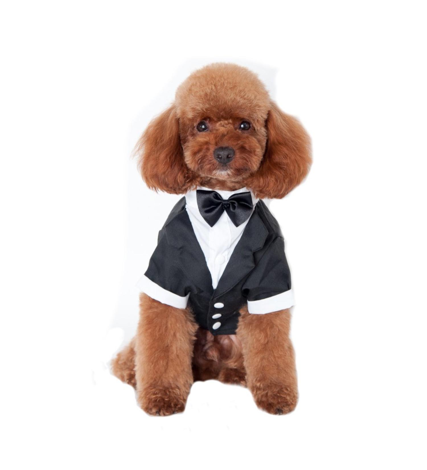 Keysui Pet Party Formal Suit Costume for Dogs - Stylish Coat Apparel for Special Events - Buy Online on GoSupps.com