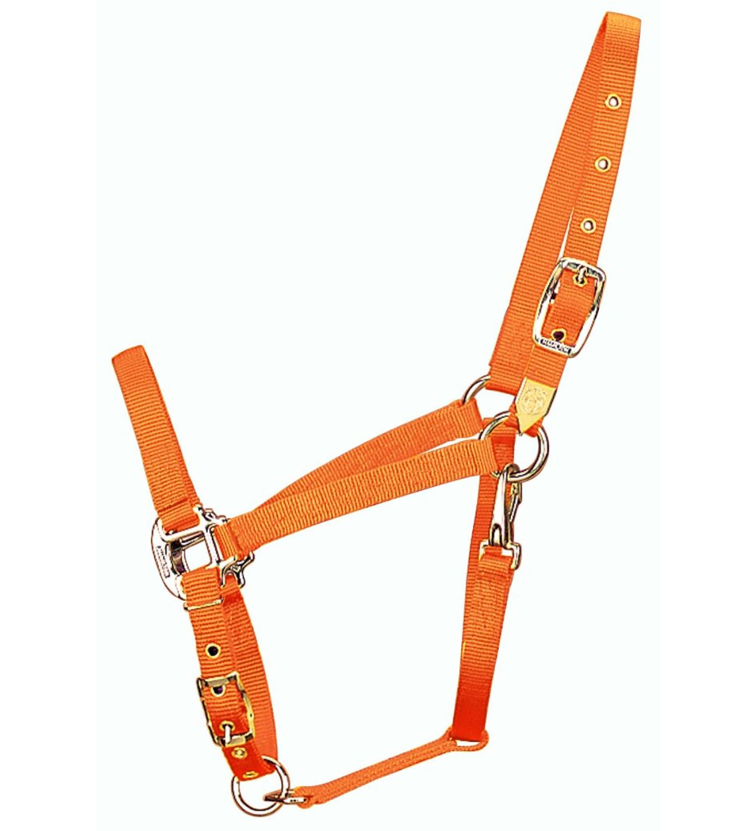 Hamilton 3/4-inch Nylon Arabian Horse Waller with Adjustable Chin and Throat Snap Average 800 to 1100 Pounds Mango Average 800 To 1100 Pounds Mango