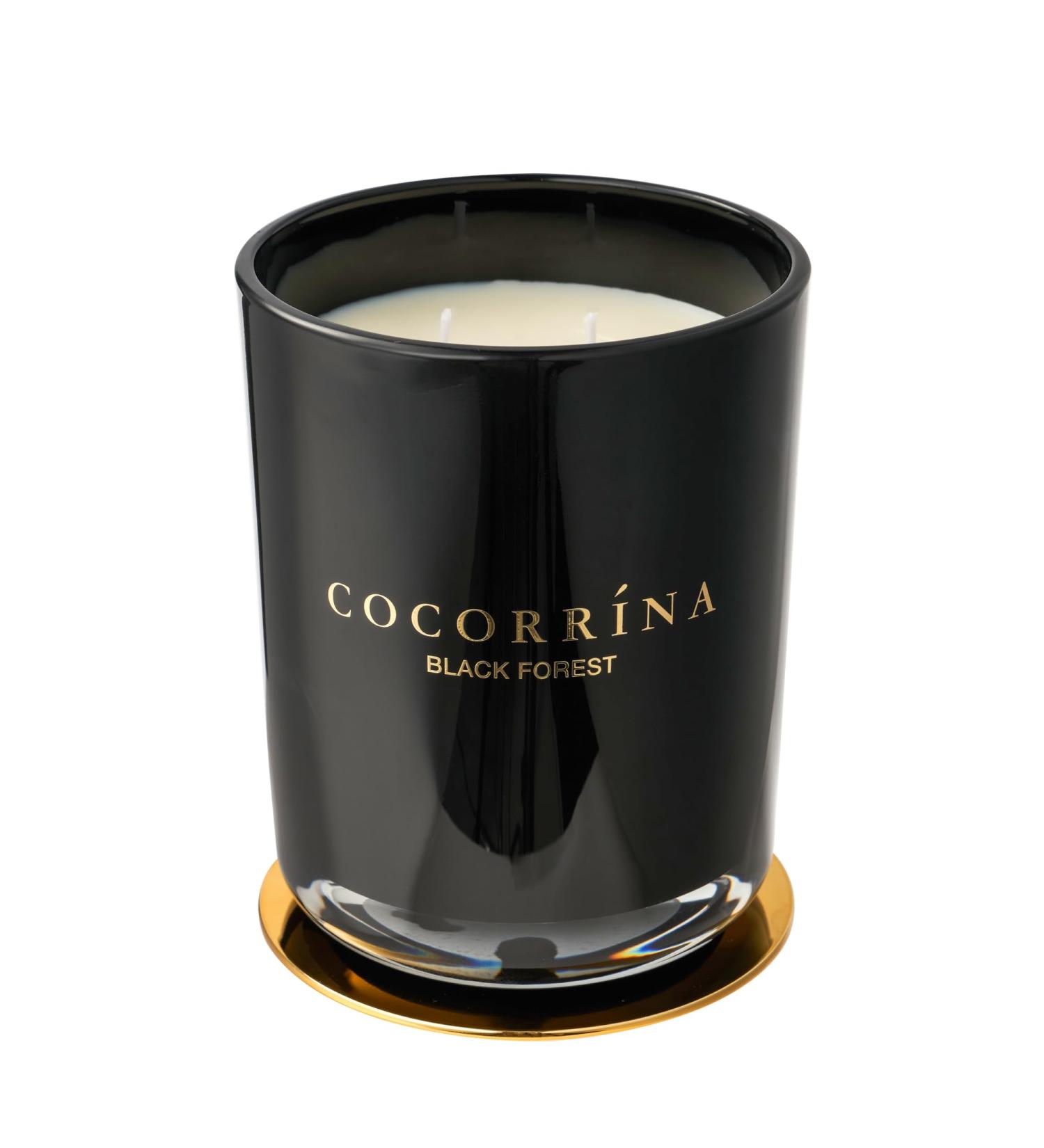 Cocorr na Black Forest Candle - 46 Hour Burn Natural Soy 2 Wicks | Perfect Christmas Gift (420g) - Buy Online on GoSupps.com