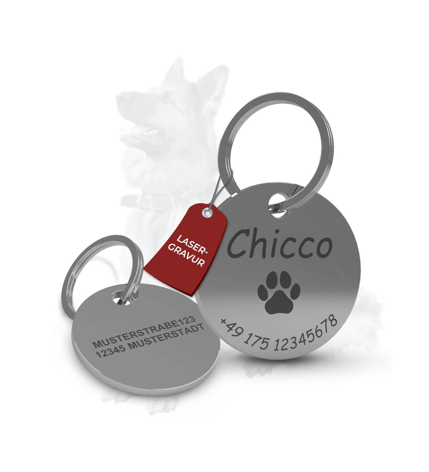 Personalized Stainless Steel Dog Collar with Name Engraving | Best Dog Accessories for Cats & Dogs | 25mm Dog Brand - Buy Online on GoSupps.com