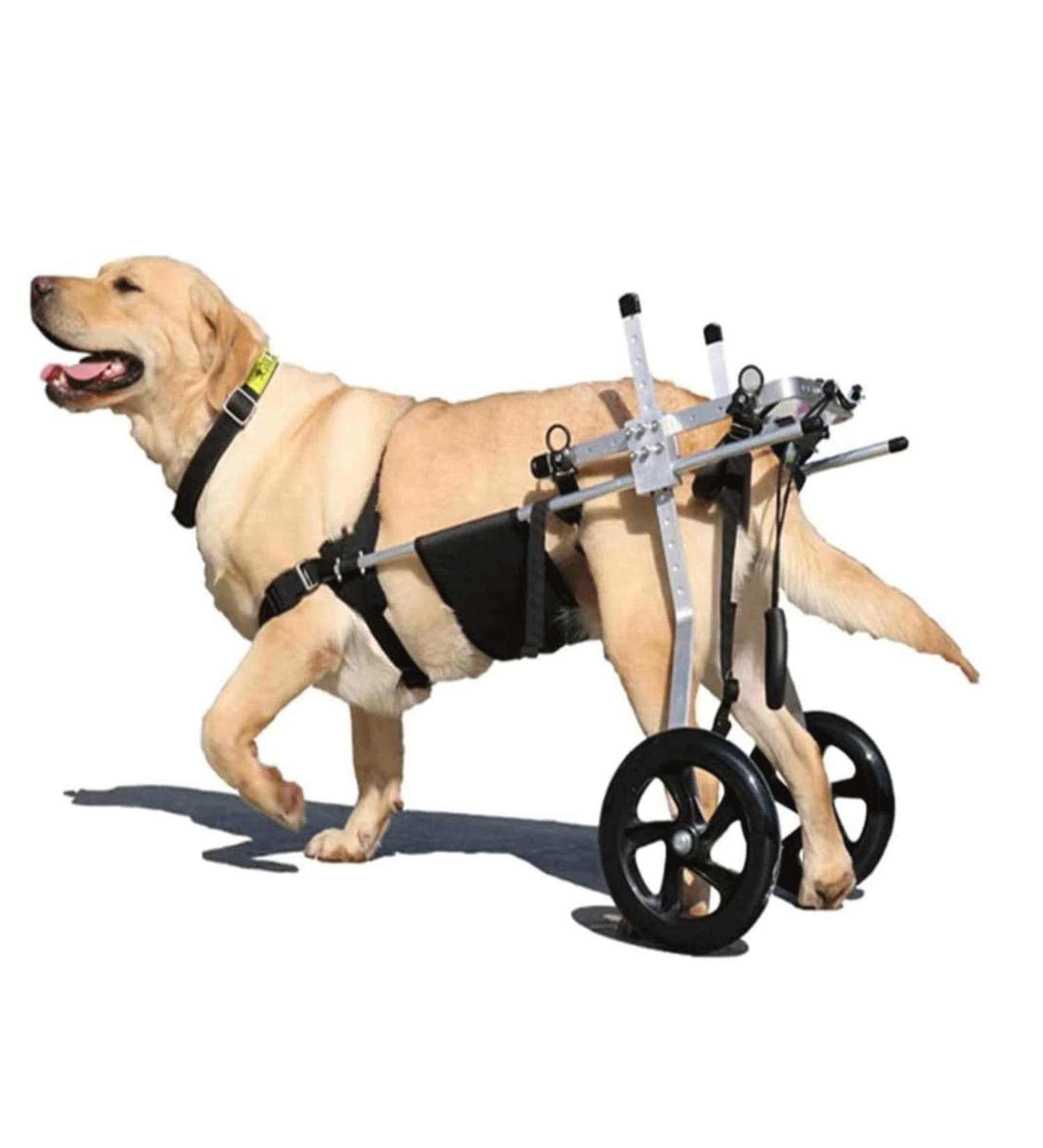 Dog Wheelchair Aluminum Alloy Pet Wheelchair 2 Wheels Dog Wheelchair for Back Legs Pet Dog Rehabilitation Aid Cart for Medium Dogs Wheelchair Portable Large - Buy Online on GoSupps.com