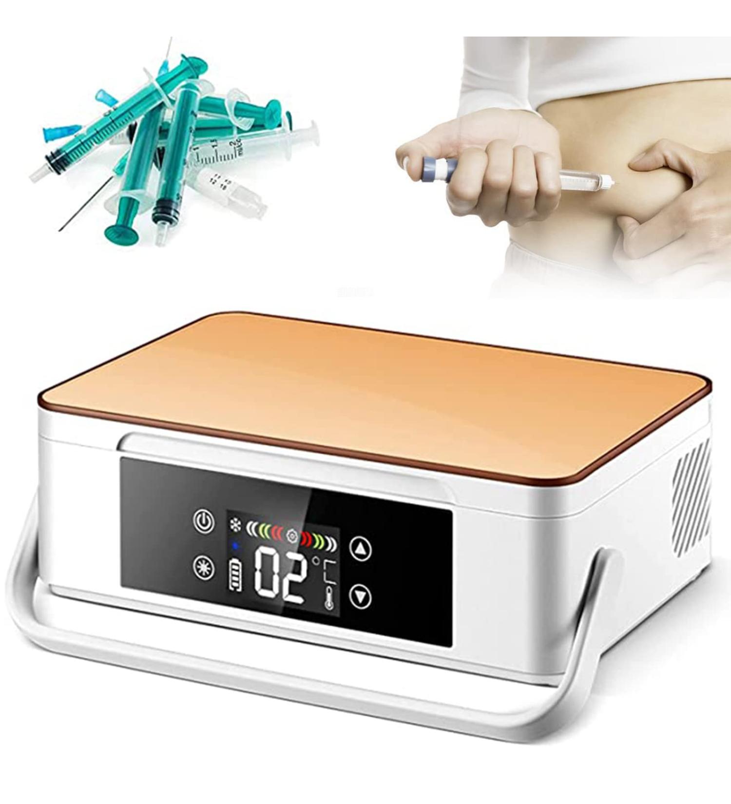 Insulin Refrigerated Box Portable Insulin Cooler Case Car Refrigerators Case Cooler 2-8 Thermostat Drug Reefer Suitable for Travel Airplane Champagnegold-220V-Battery*1 Battery*1 Champagnegold - Buy Online on GoSupps.com