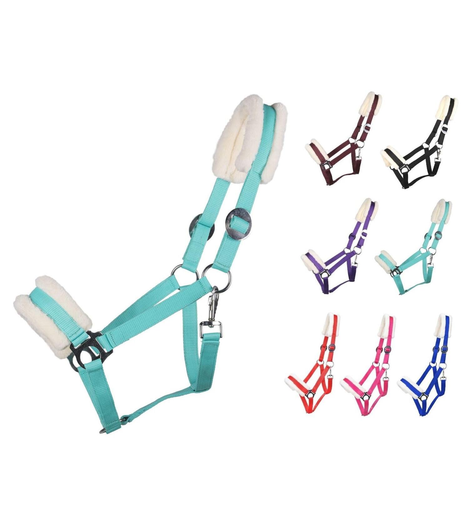 Netproshop Solid Horse Halter | Padded & Adjustable Mini Shetty to Full U Cold Blood | Size: Shetty | Color: Turquoise - Buy Online on GoSupps.com