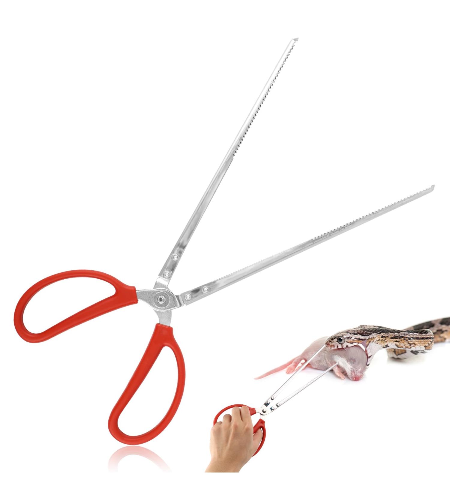 lasuroa Reptile Feeding Tongs 14.5in Snake Feeding Tongs Anti-Slip Corn Ball Python Accessories for Terrarium Extra Long Tweezers for Snake Tortoise Lizard Frog Spider - Buy Online on GoSupps.com