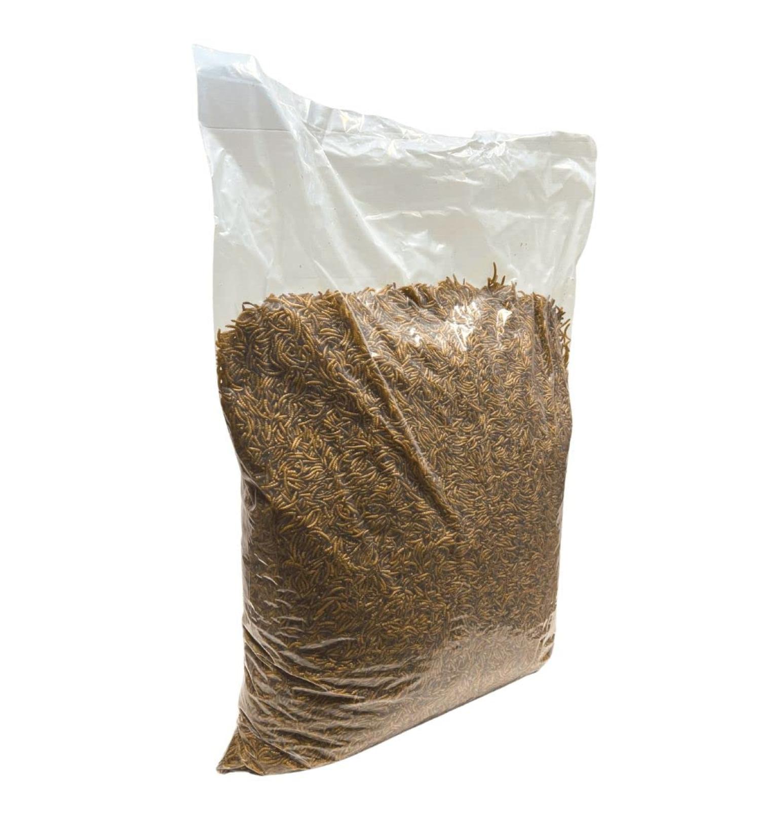 Buy Superworm 5 kg Dried Mealworms - Premium Insect Snack for Fish Wild Birds Hedgehogs & More | Ideal Hedgehog & Bird Feed - Buy Online on GoSupps.com