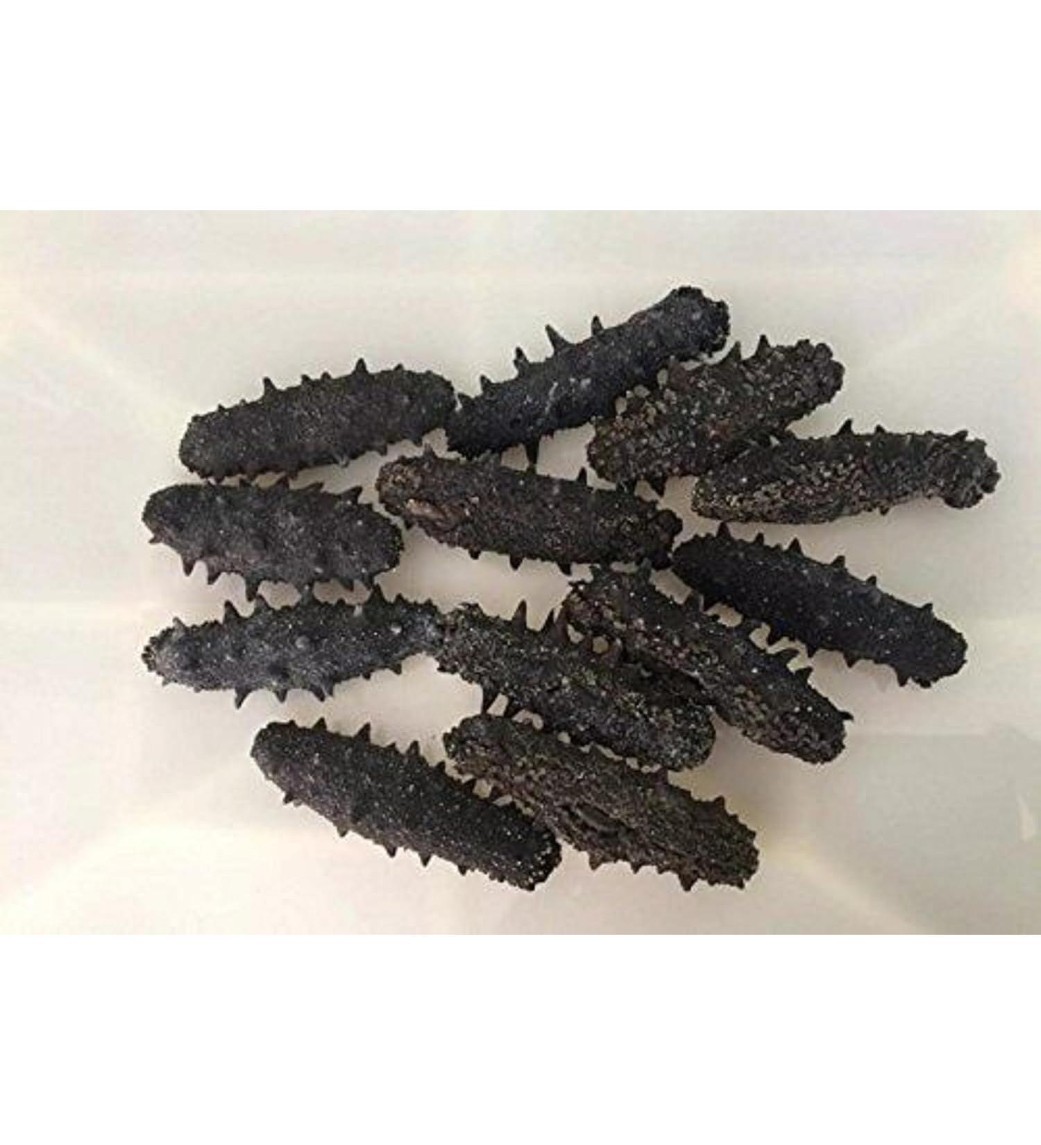 WENXUANSU: Dried seafood sea cucumber 1 Pound (454 grams) from South China Sea Nanhai - Buy Online on GoSupps.com