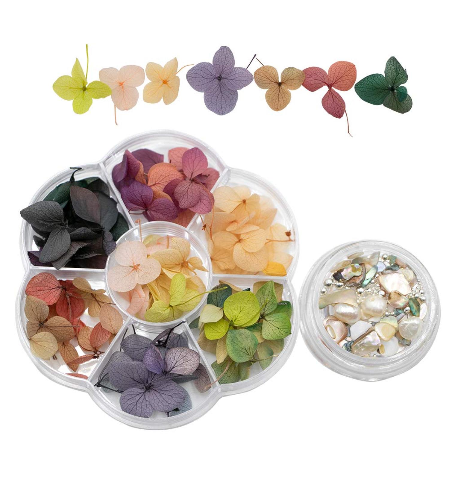 IME Nail Dried Flower & Crushed Seashell Mix for 3D Nail Art - DIY Manicure Decor Kit - Buy Online on GoSupps.com
