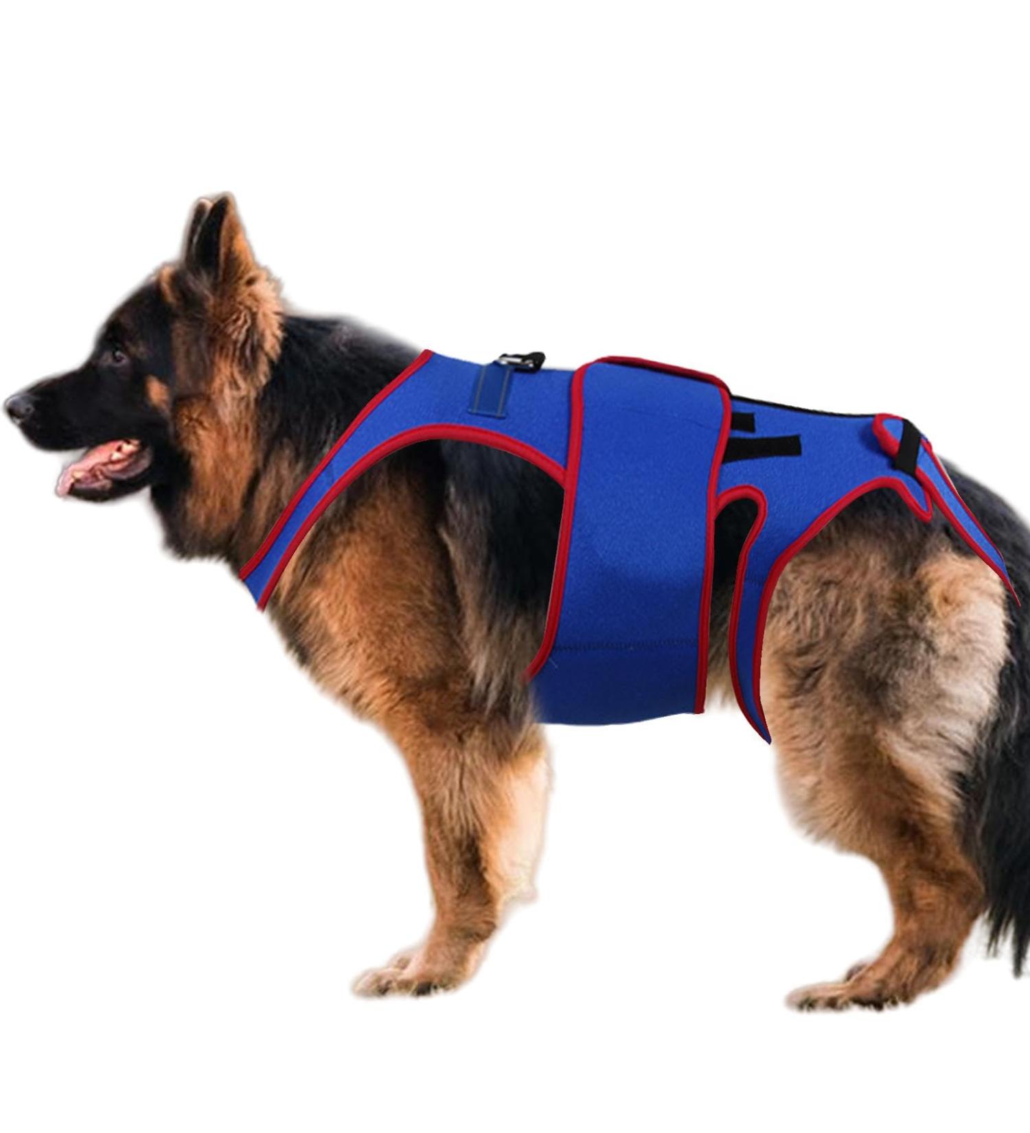 Dog Spine Support- Dog Hip Support Brace Dog Rehabilitation Clothing | Spine Support Clothing Waist Protection Auxiliary Belt Reflective Strips Dog Back Brace for Dogs Back (26x48 Cm) - Buy Online on GoSupps.com