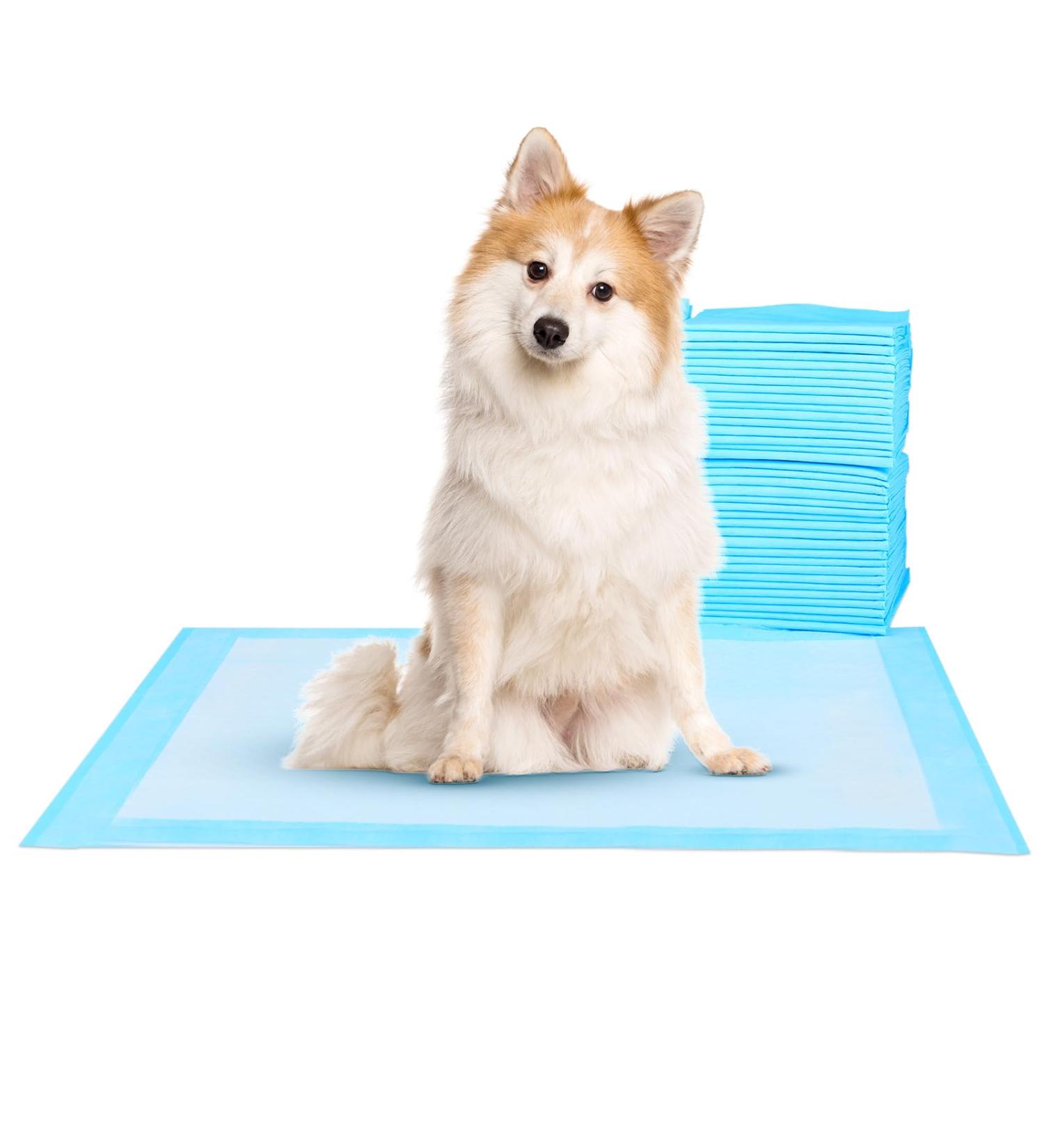 Super Absorbent Waterproof Dog Training Pads - 100 Count Extra Small 28 x 30 Hausbreaking Pet Pads - Ideal for Puppies - Blue XL 71x76cm - Buy Online on GoSupps.com