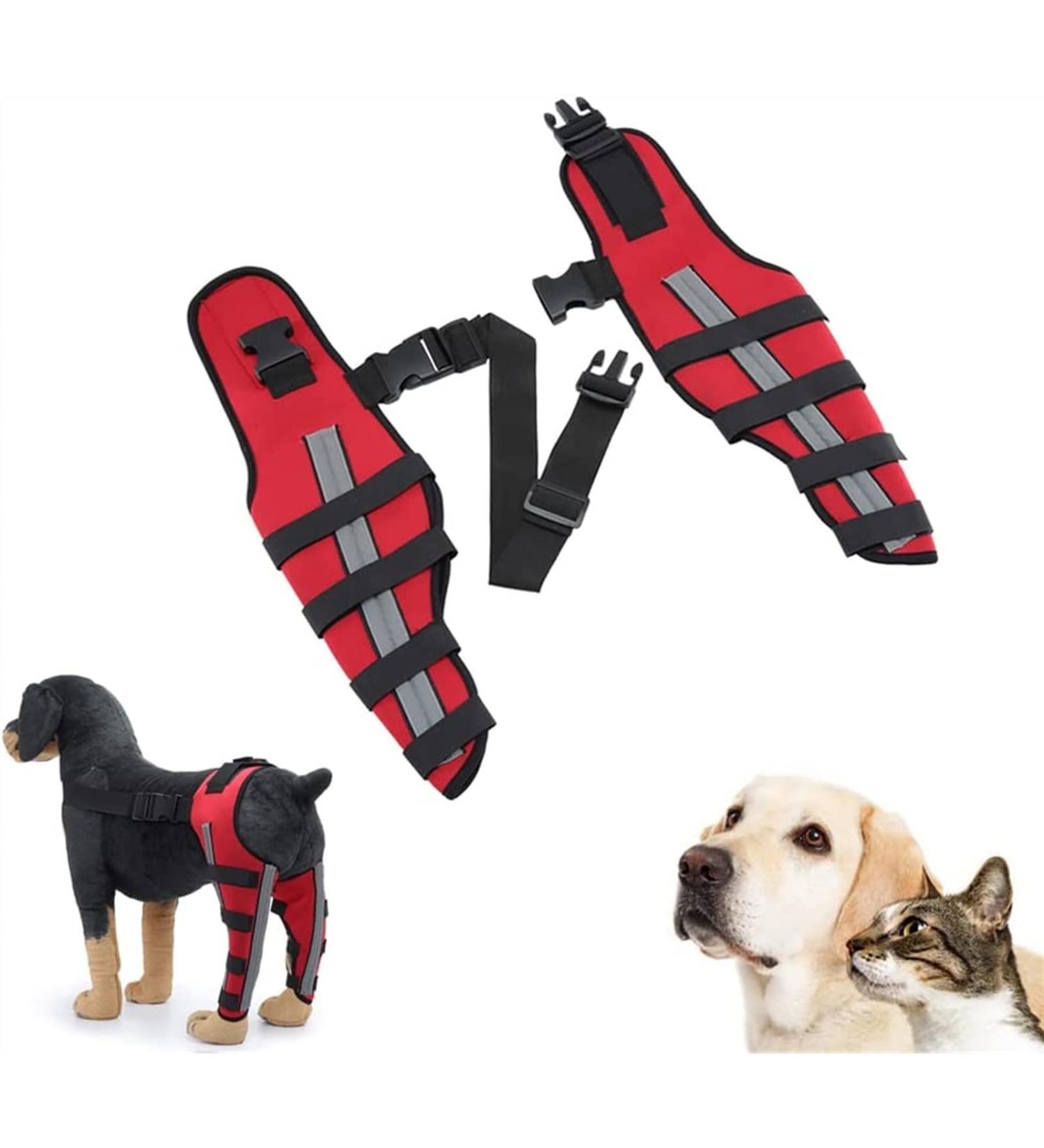 Dog Double Rear Leg Brace Dog Knee Brace Dog Double Rear Leg Brace- ACL Hind Leg Brace with Reflective Seat Belts - Supportive Dog Knee Brace Large - Buy Online on GoSupps.com