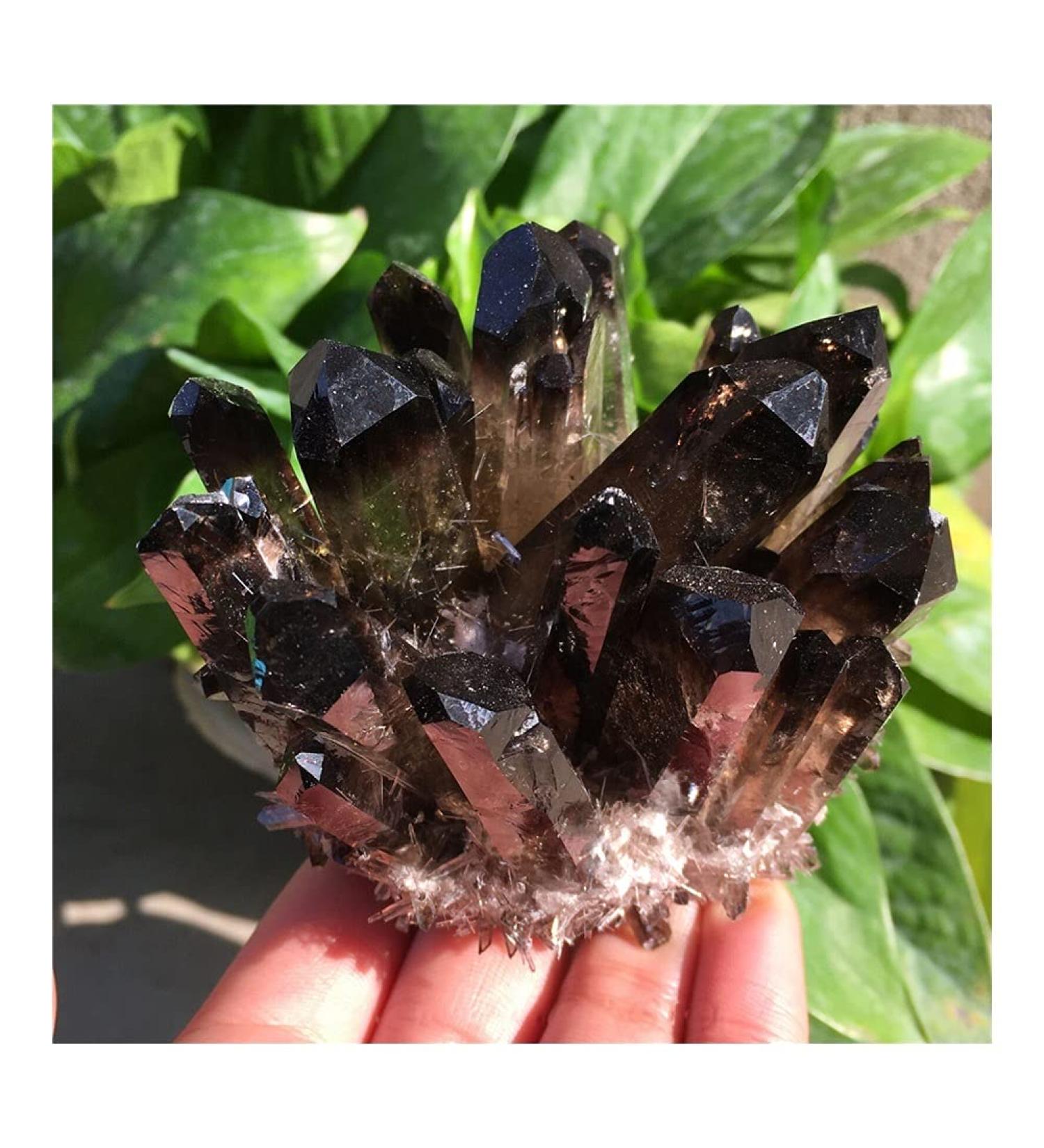 Stone Crafts 1pc Natural Crystals Smoky Quartz Cluster Freeform Reiki Stones Room Home Office Aquarium Decoration Accessories Gemstone Home Goods (Size : 600-650g) - Buy Online on GoSupps.com